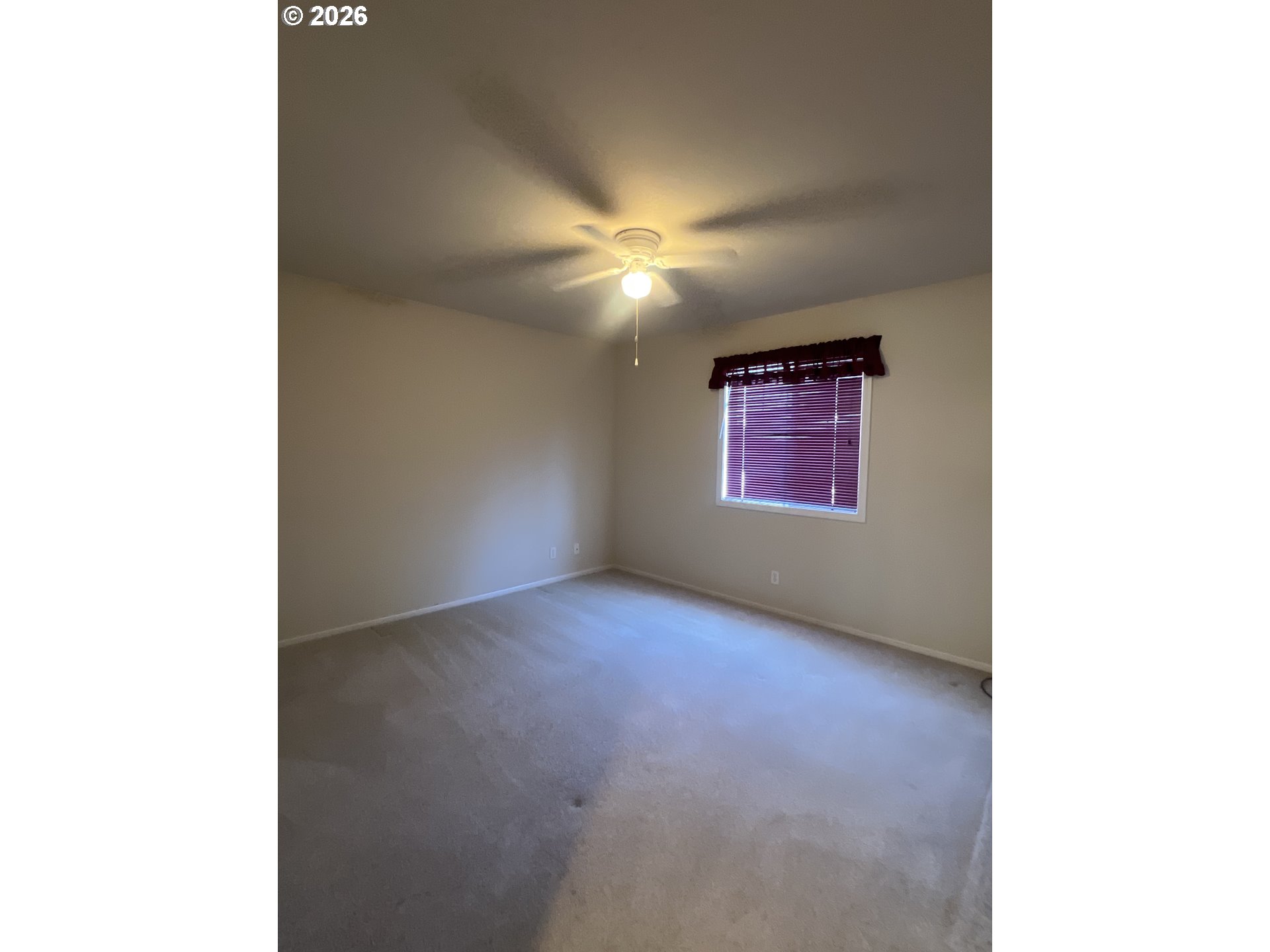 142 Swain Ct Property Photo 18