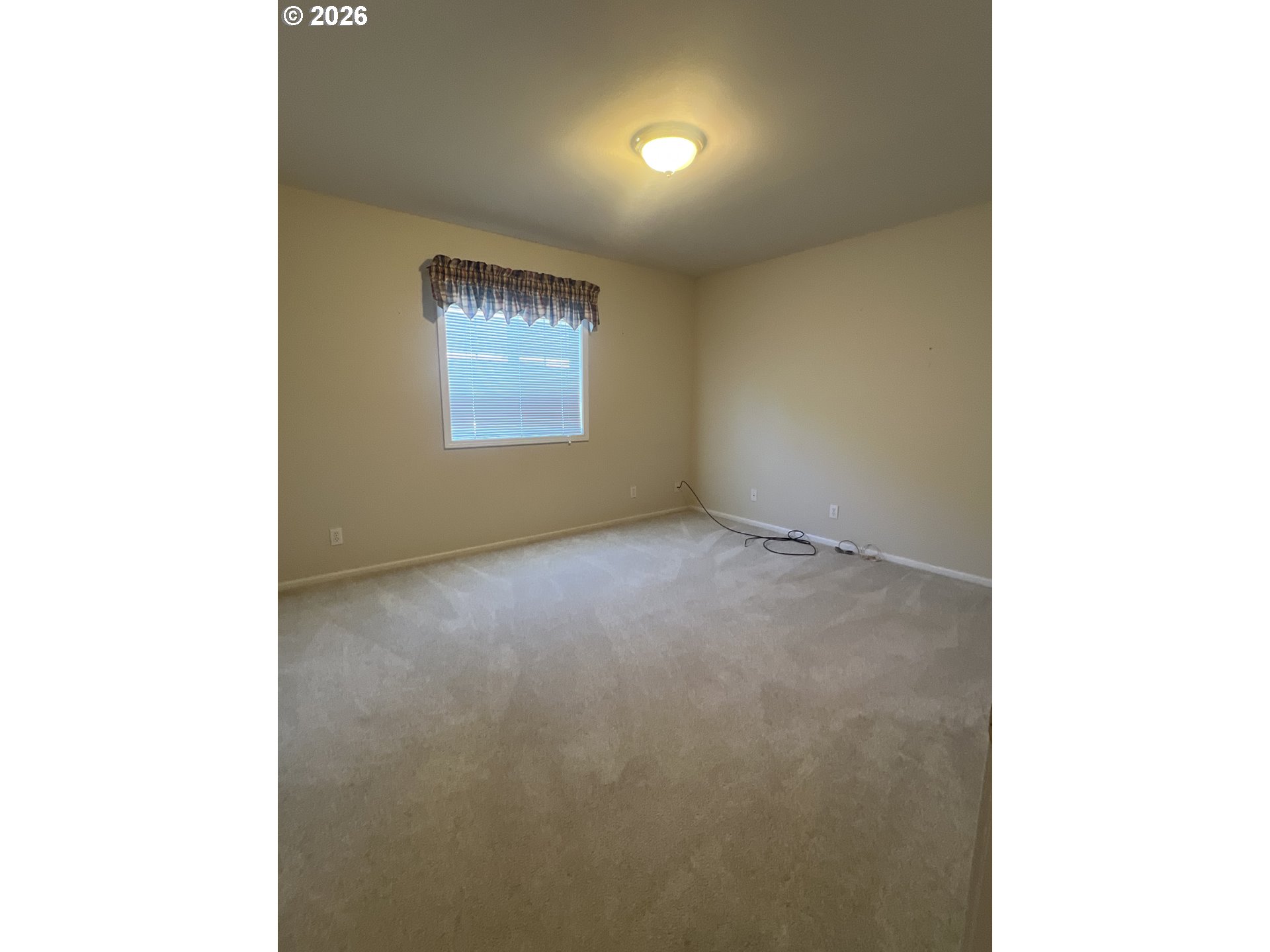 142 Swain Ct Property Photo 19