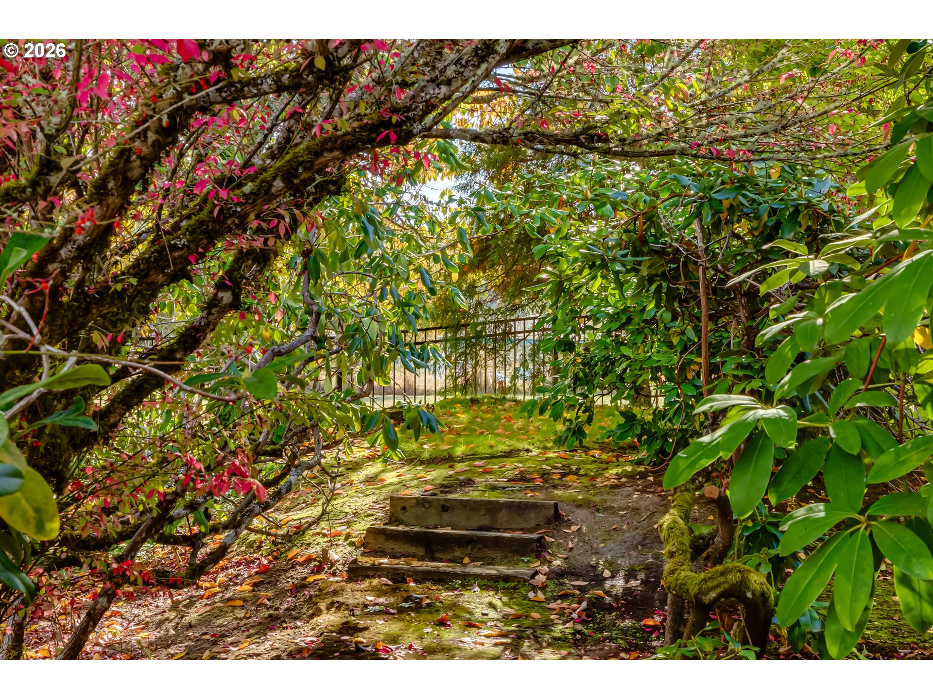 1244 Courtney Pl Property Photo 43