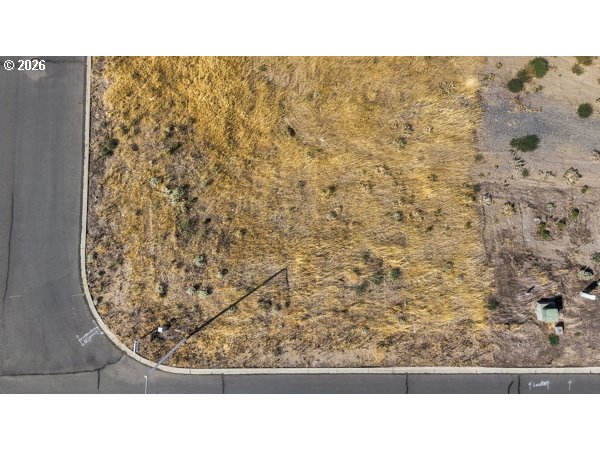 55 Roosevelt Ave Property Photo 11