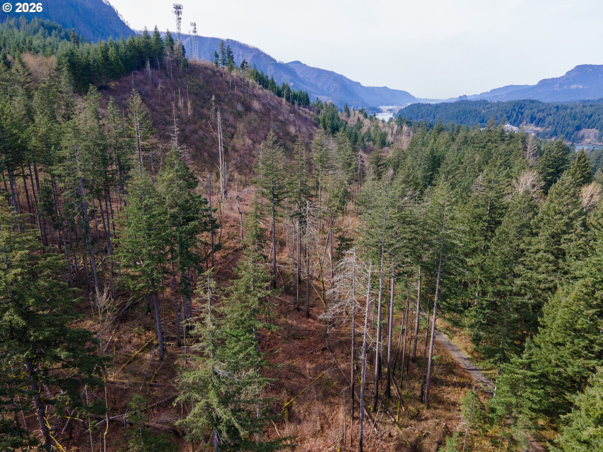 Dry Creek Rd Property Photo 10