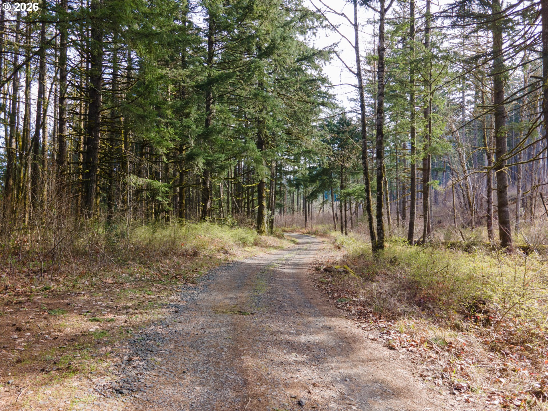 Dry Creek Rd Property Photo 11