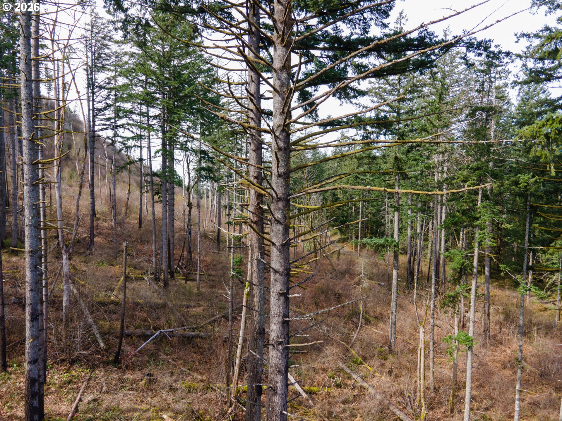 Dry Creek Rd Property Photo 12
