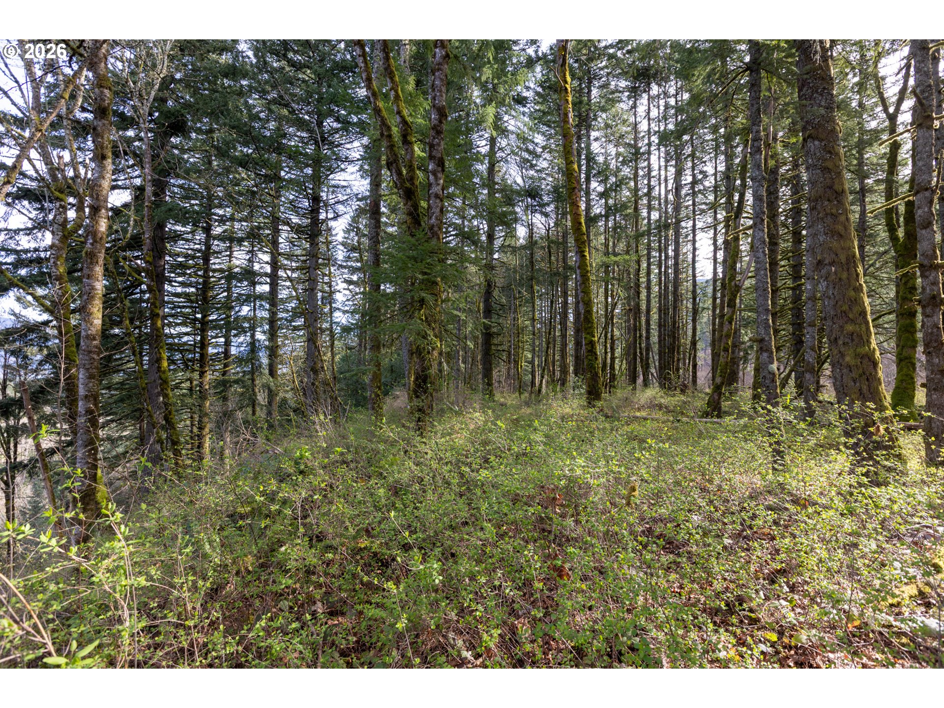 Dry Creek Rd Property Photo 13