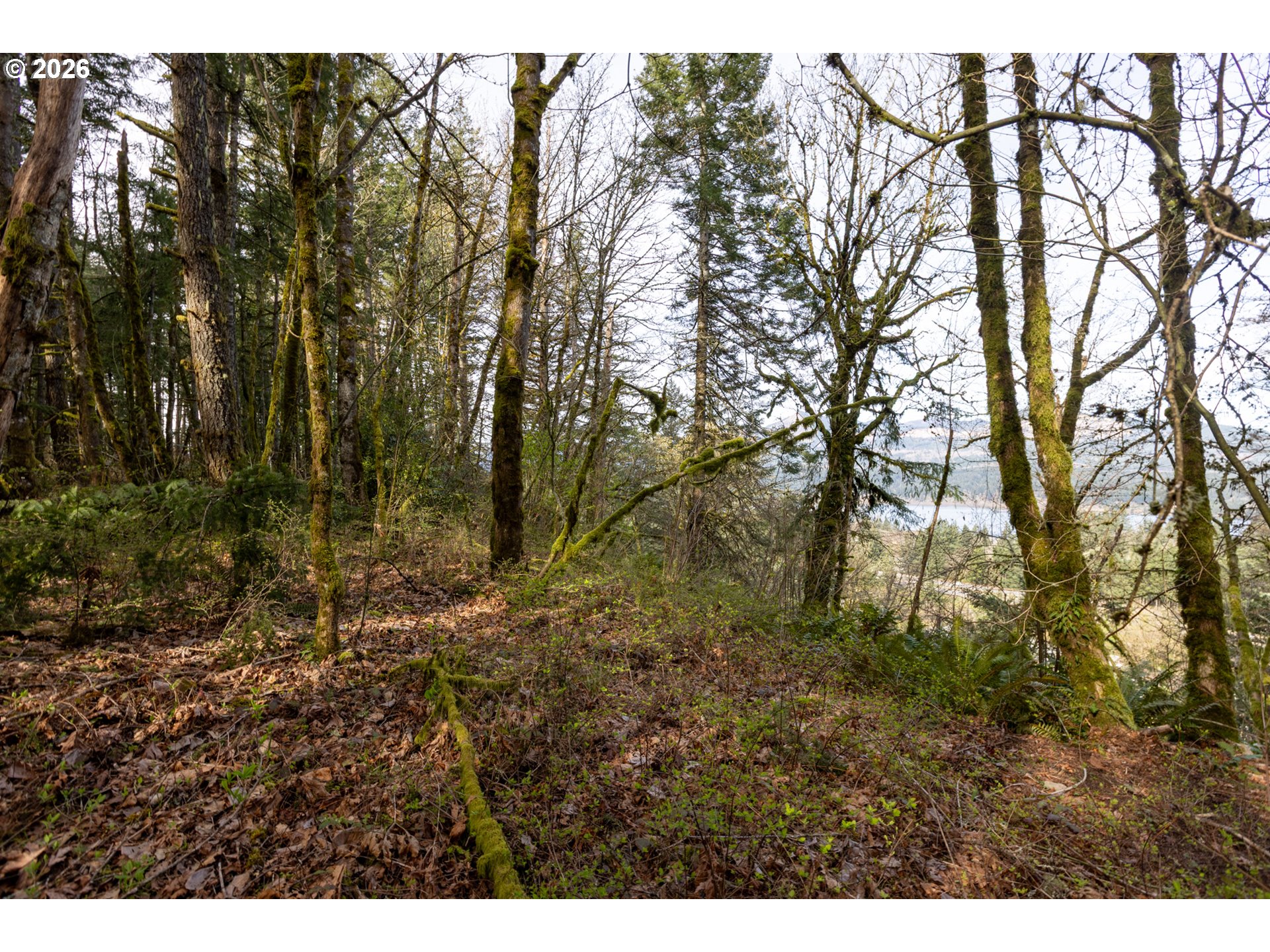 Dry Creek Rd Property Photo 14