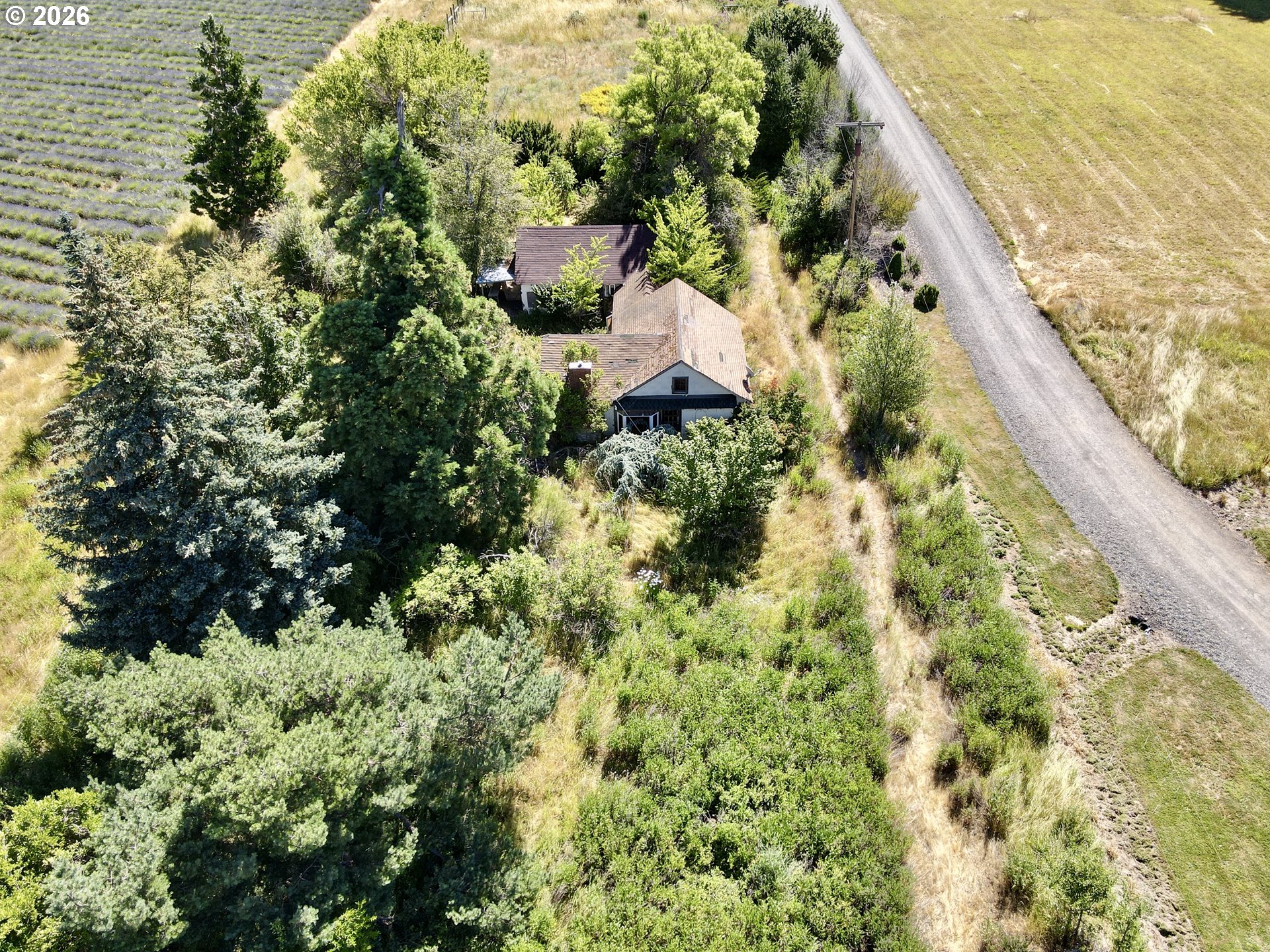 5985 Boneboro Rd Property Photo 3