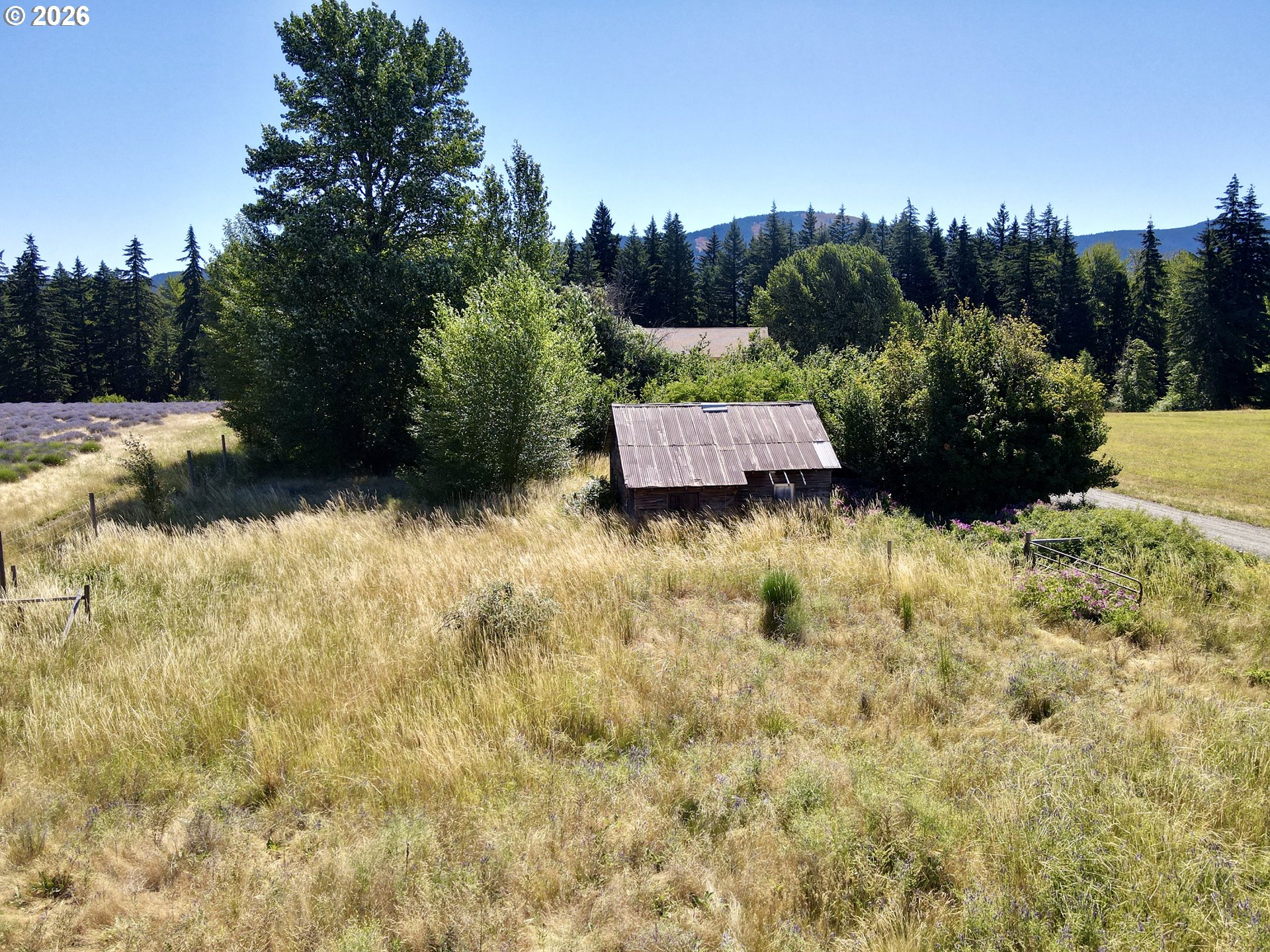 5985 Boneboro Rd Property Photo 5