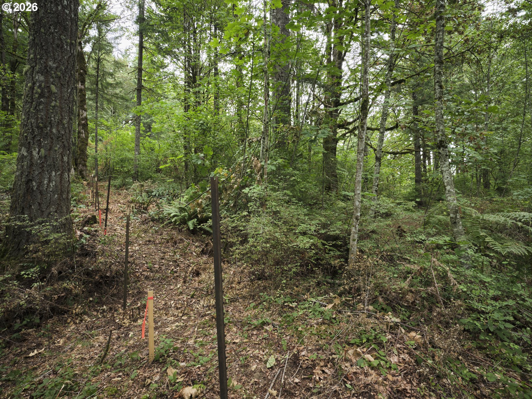 38610 Ne Rotschy Rd Property Photo 10