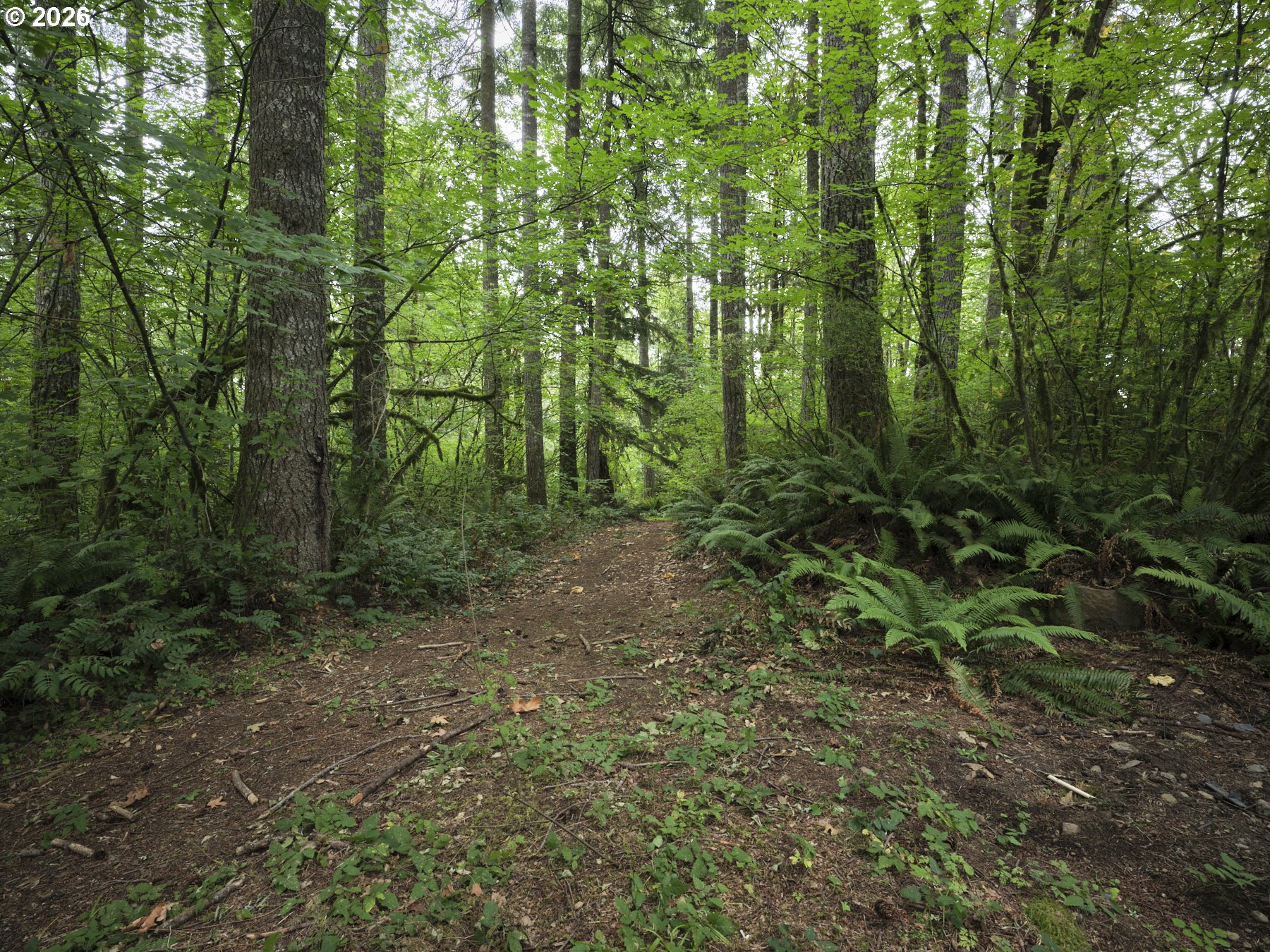 38610 Ne Rotschy Rd Property Photo 16