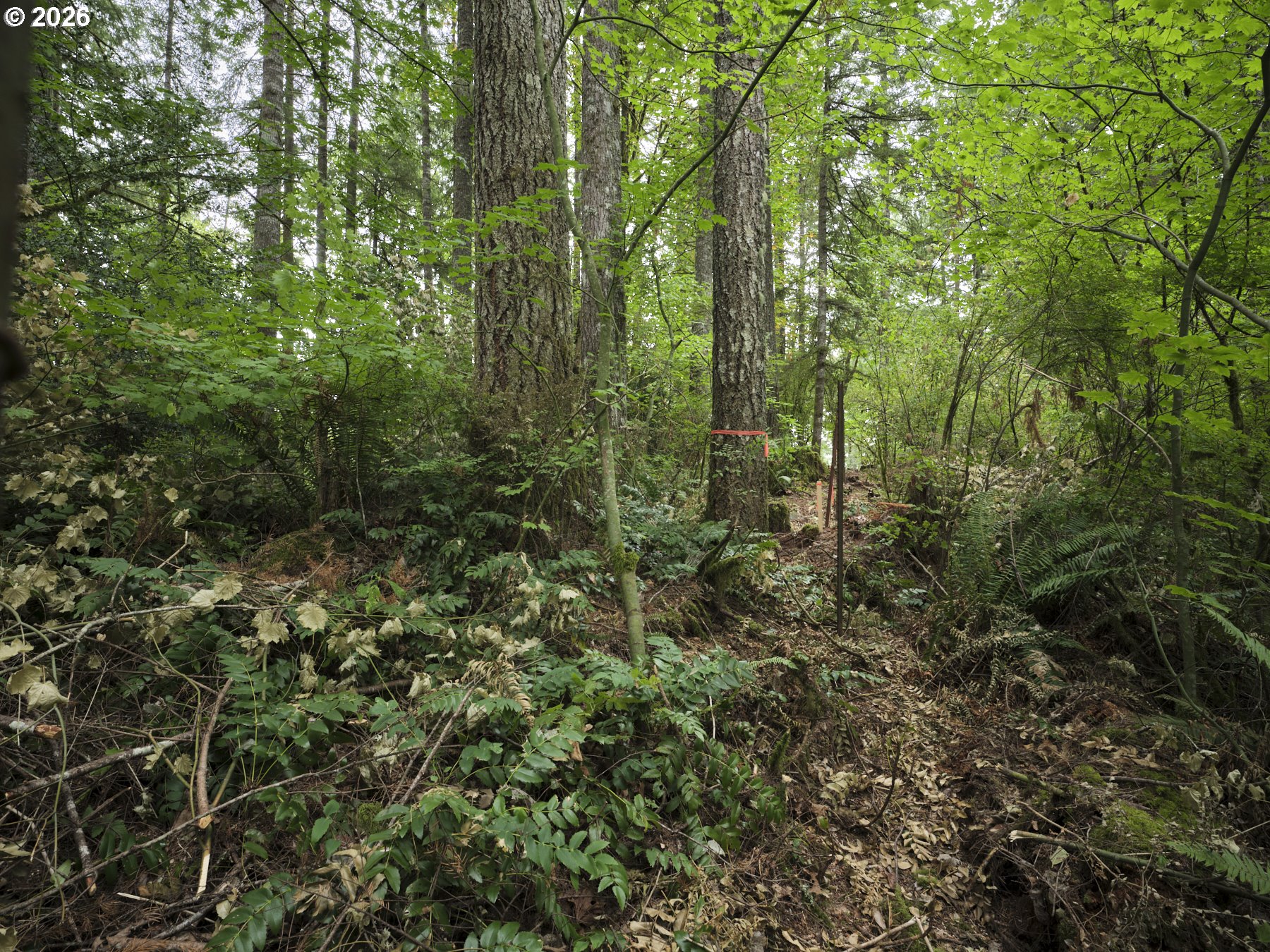 38610 Ne Rotschy Rd Property Photo 17