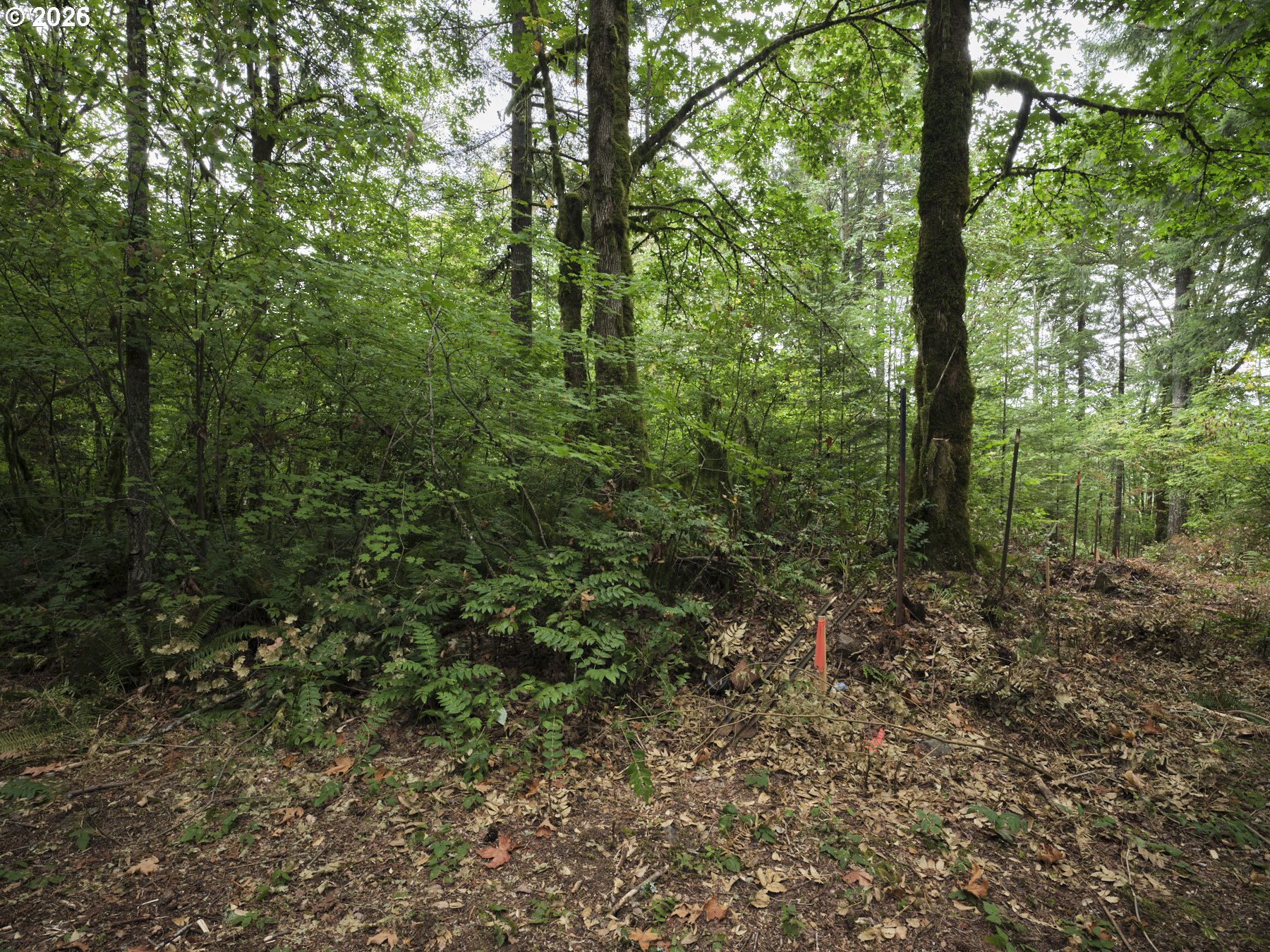 38610 Ne Rotschy Rd Property Photo 21