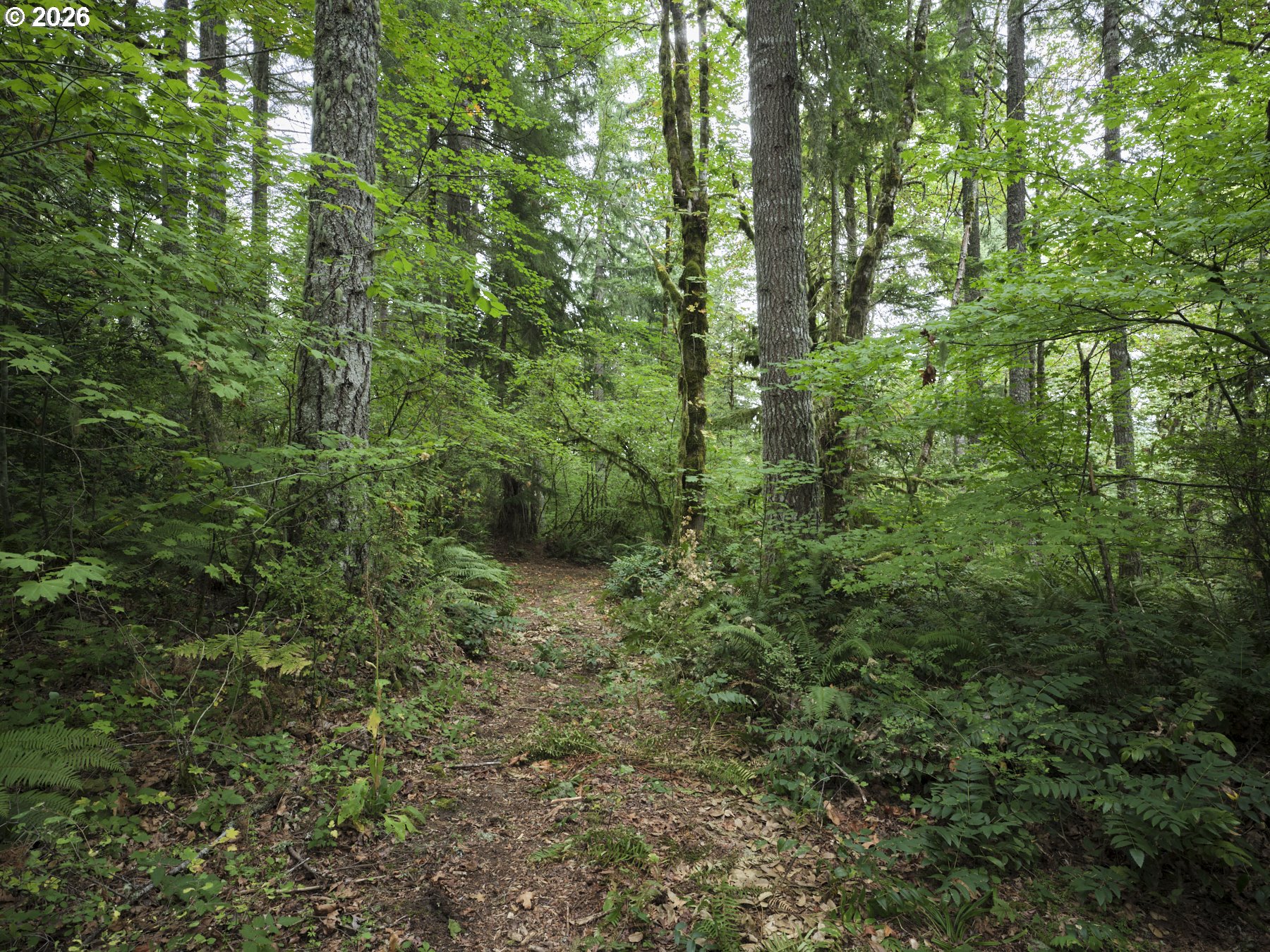 38610 Ne Rotschy Rd Property Photo 22