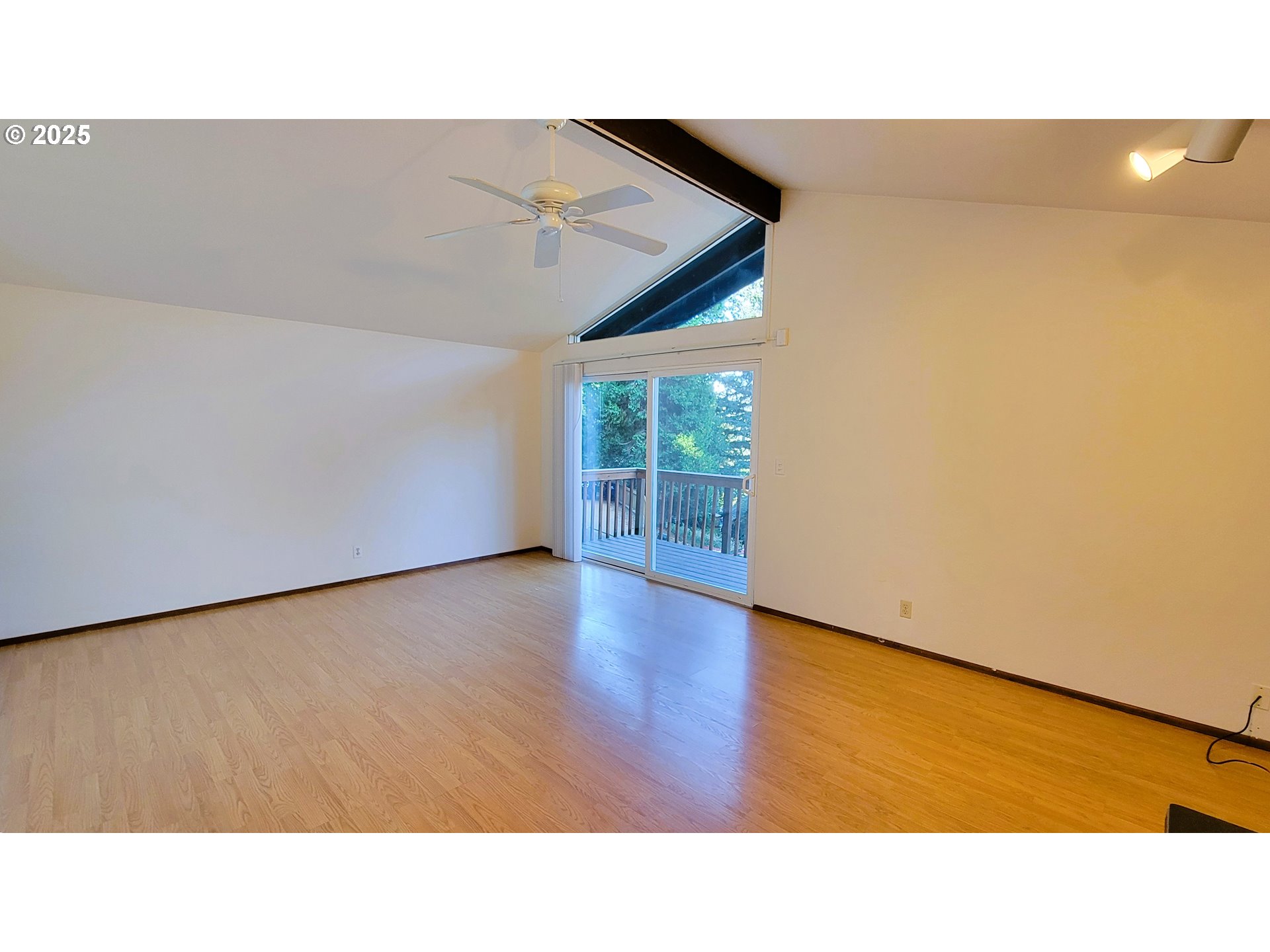 3585 Emerald St Property Photo 5