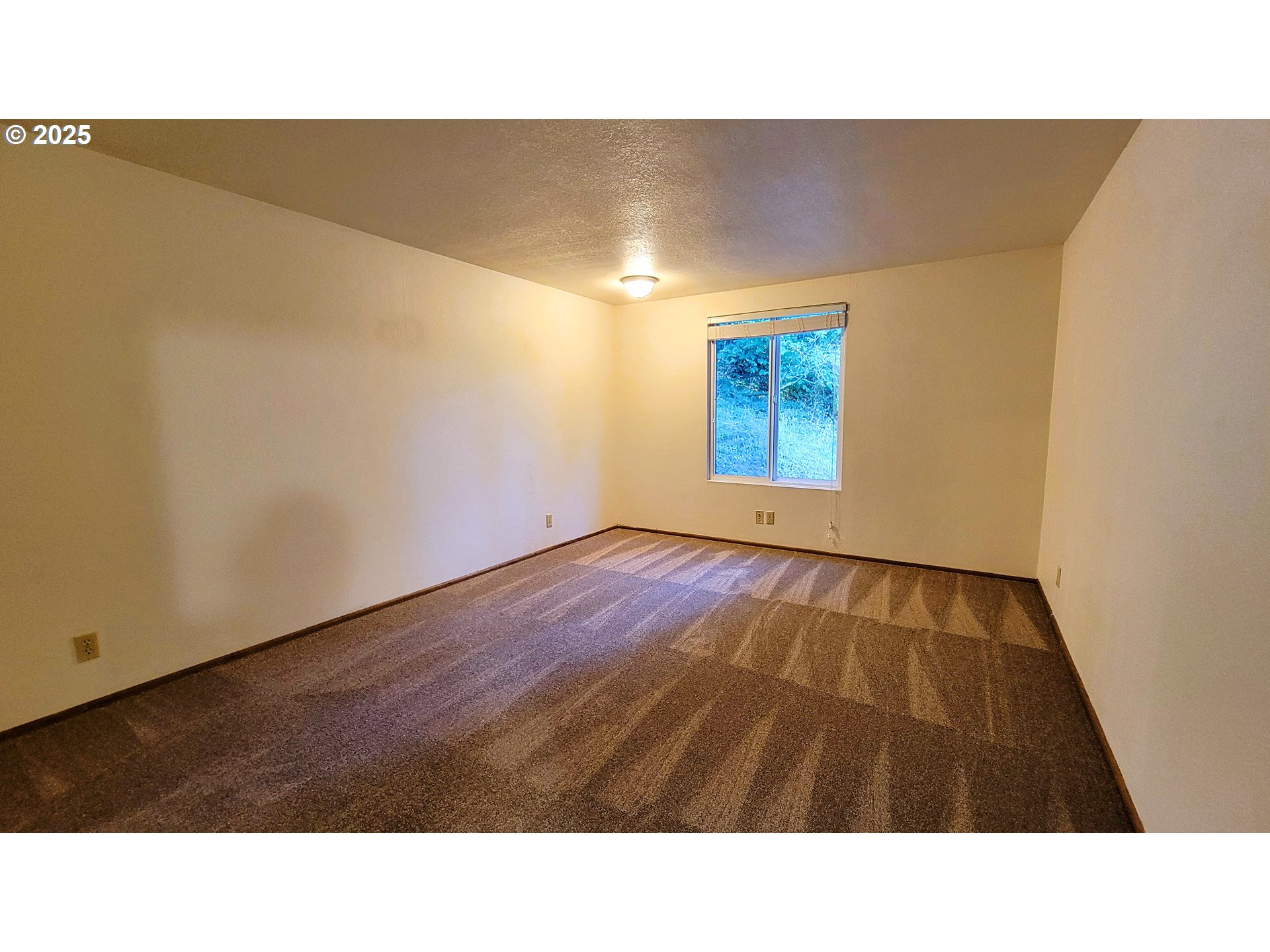 3585 Emerald St Property Photo 10