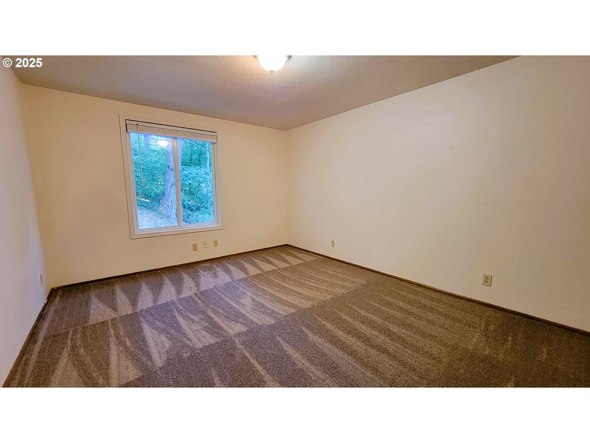 3585 Emerald St Property Photo 11