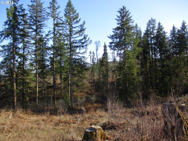 000 Abiqua Dam (large) Property Photo 1