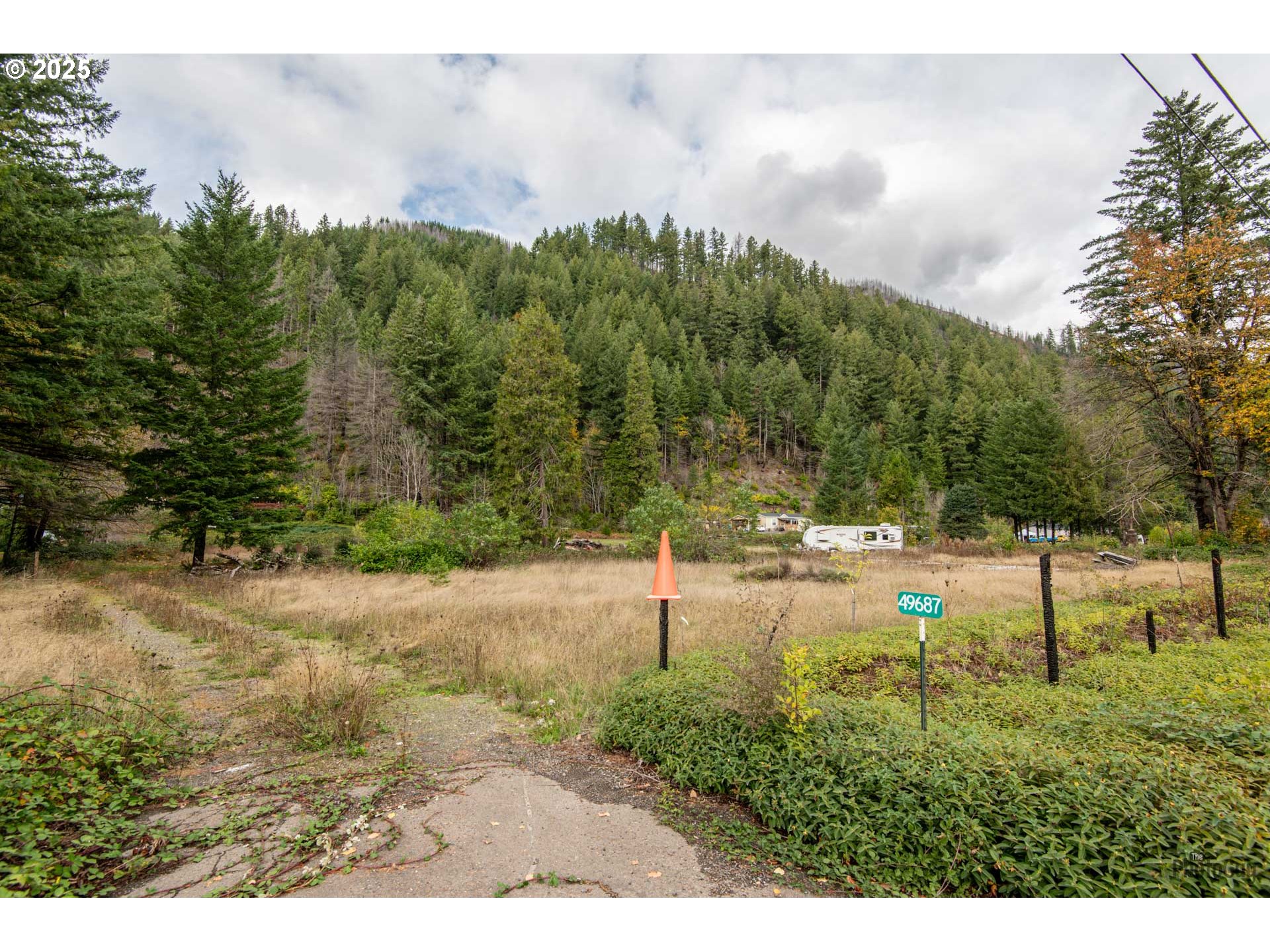 49687 Mckenzie Hwy Property Photo 3