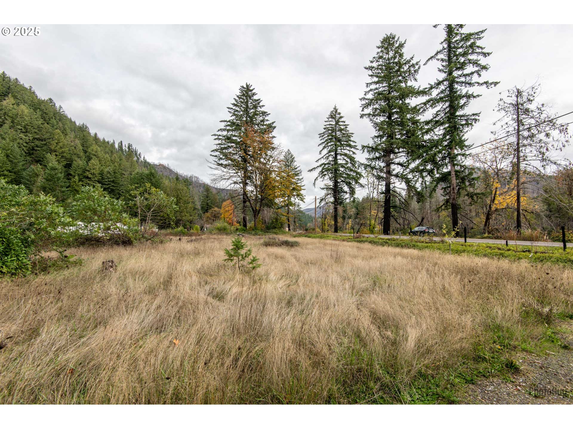 49687 Mckenzie Hwy Property Photo 5