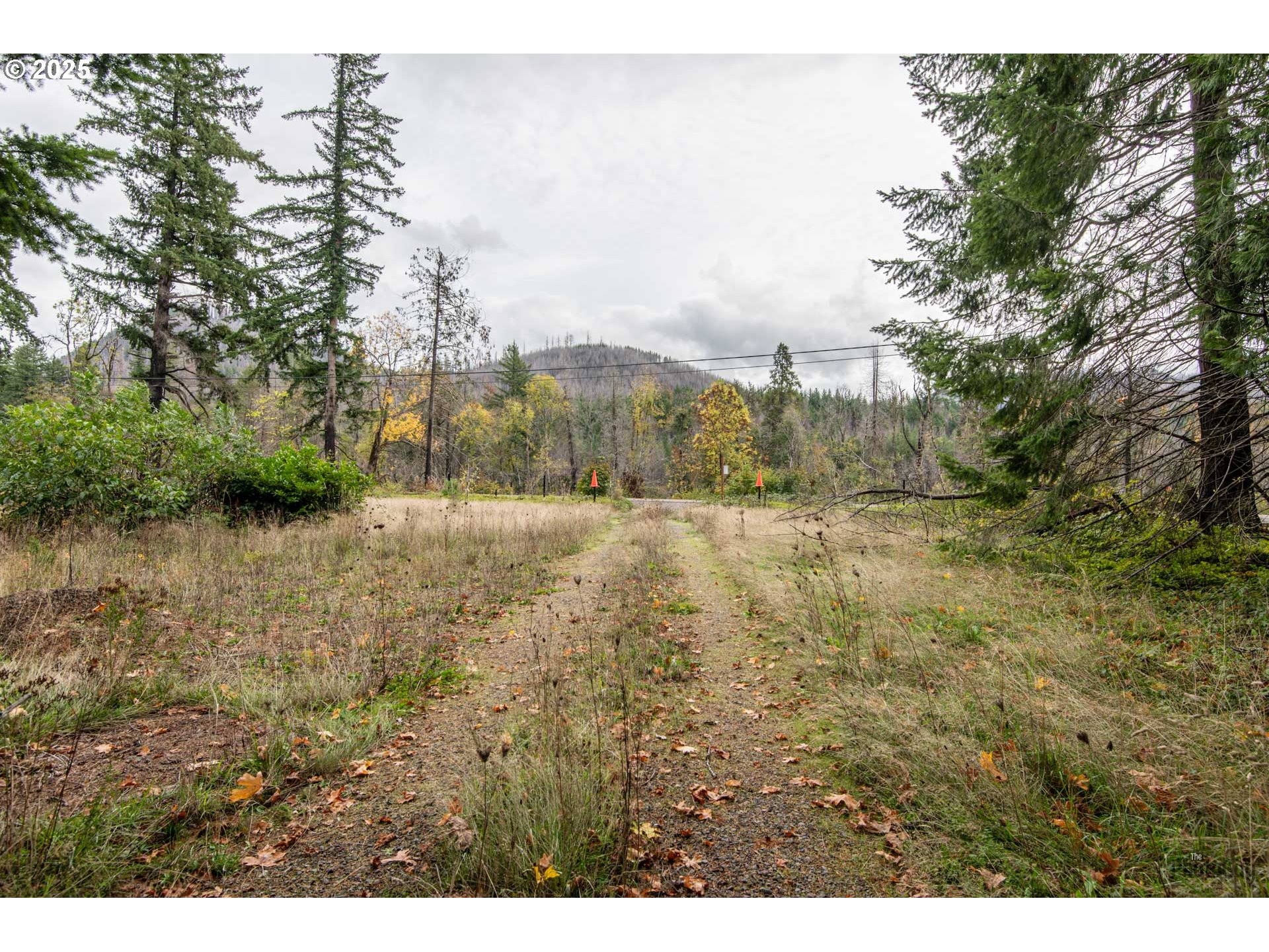 49687 Mckenzie Hwy Property Photo 6