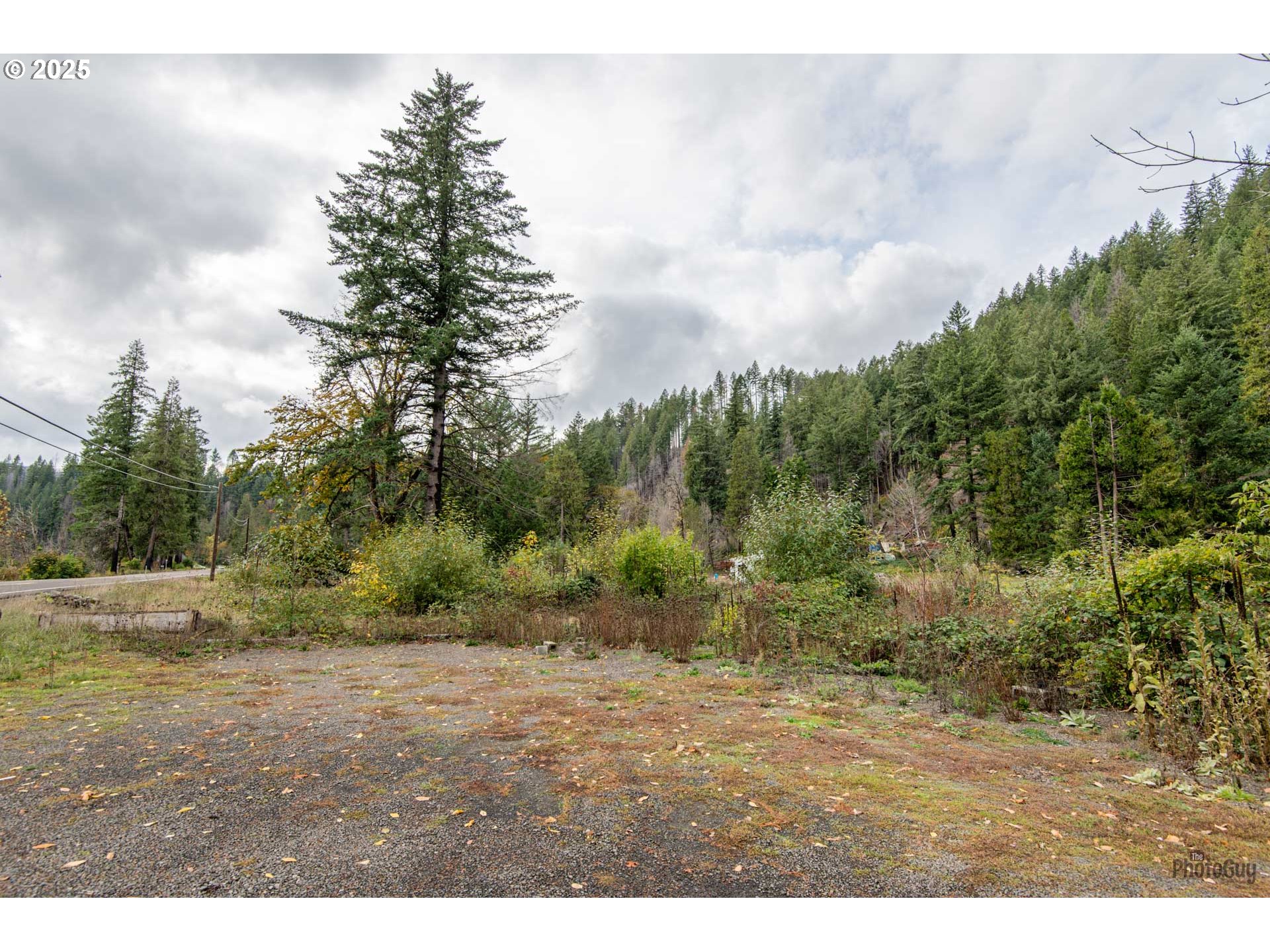49687 Mckenzie Hwy Property Photo 8