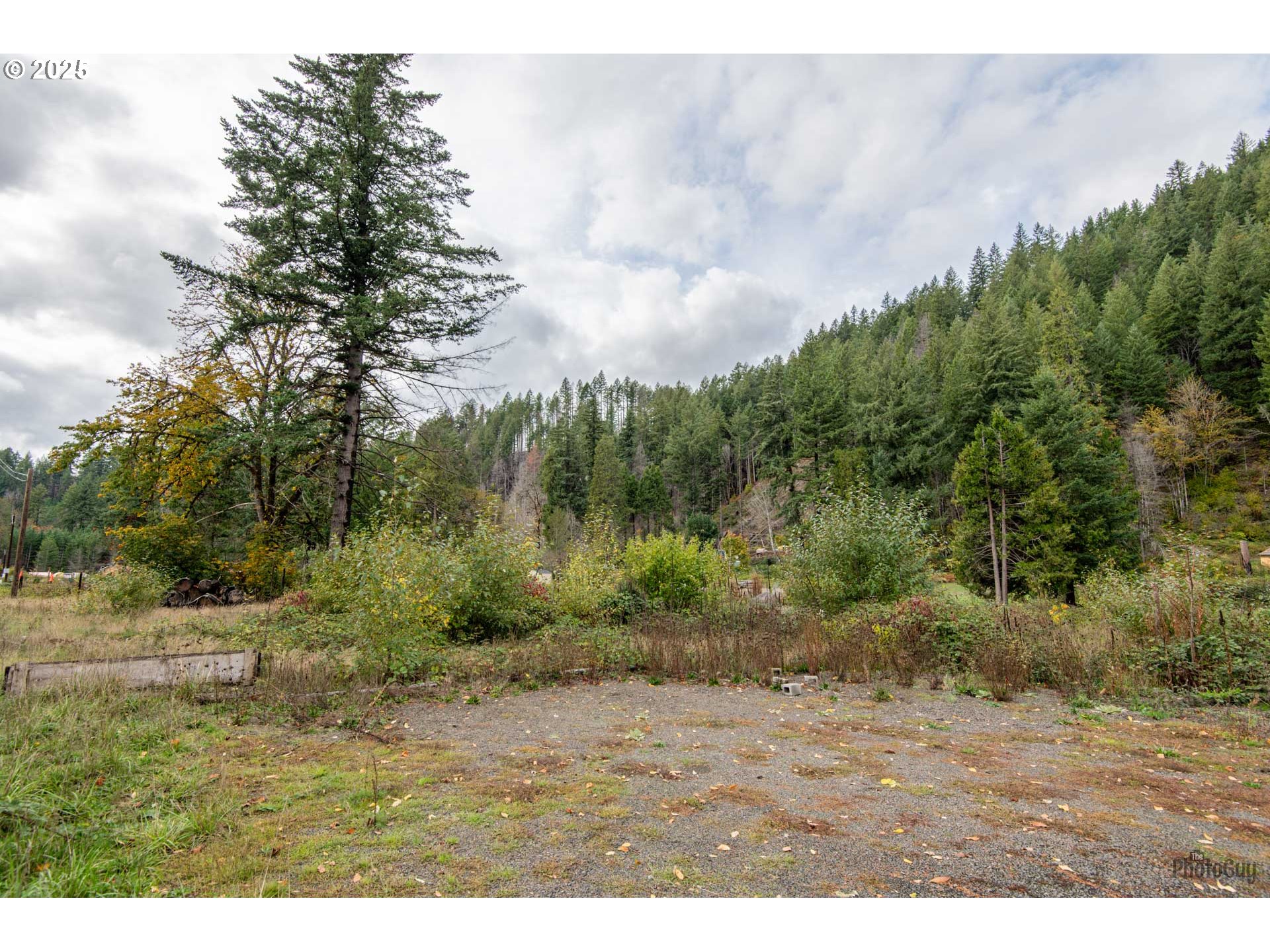 49687 Mckenzie Hwy Property Photo 9