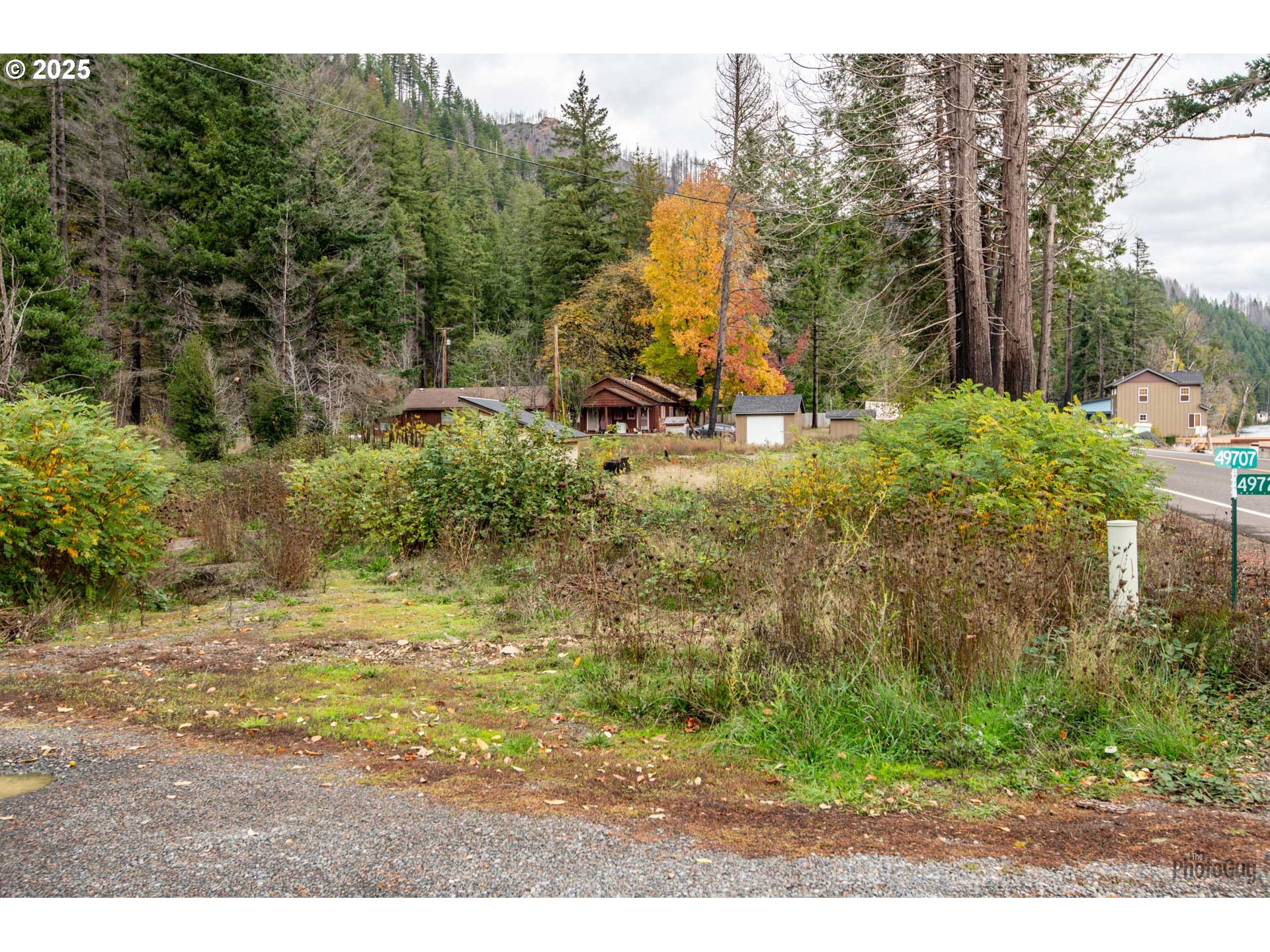 49687 Mckenzie Hwy Property Photo 10