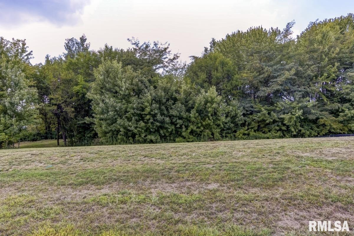 401 Ramblewood Road Property Photo 1