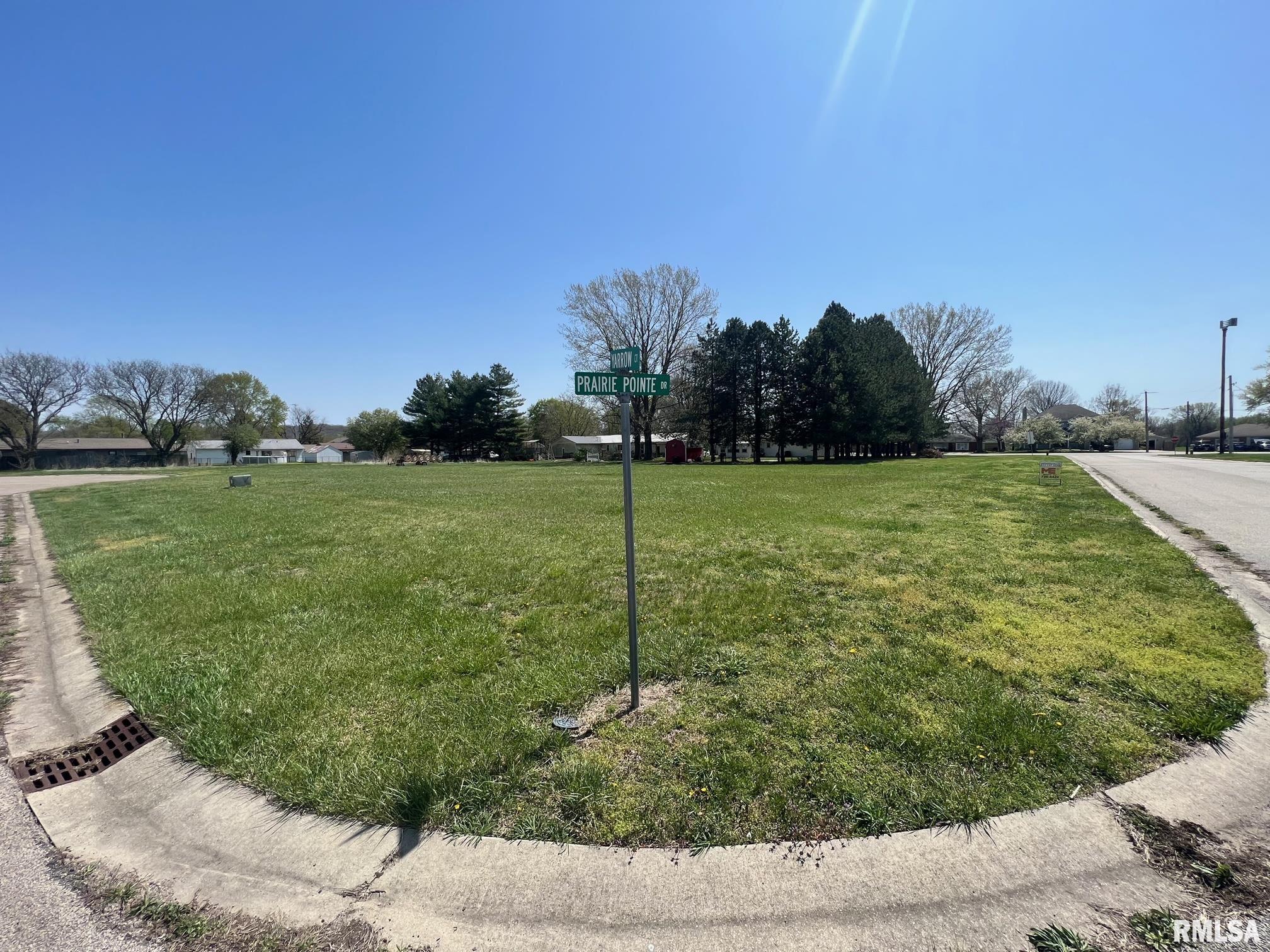0 Prairie Pointe Drive Property Photo 1