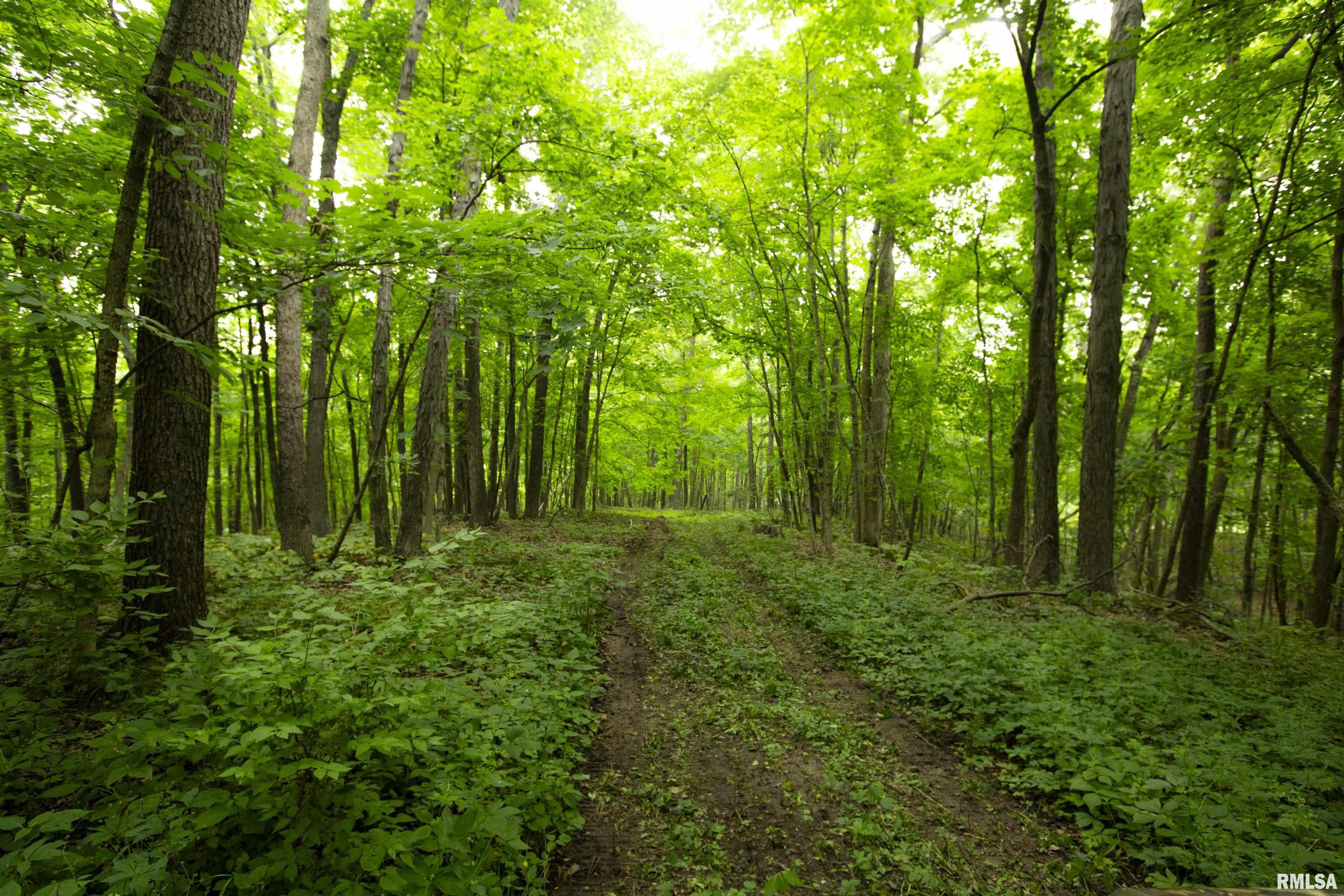 0000 W Timber Road Property Photo