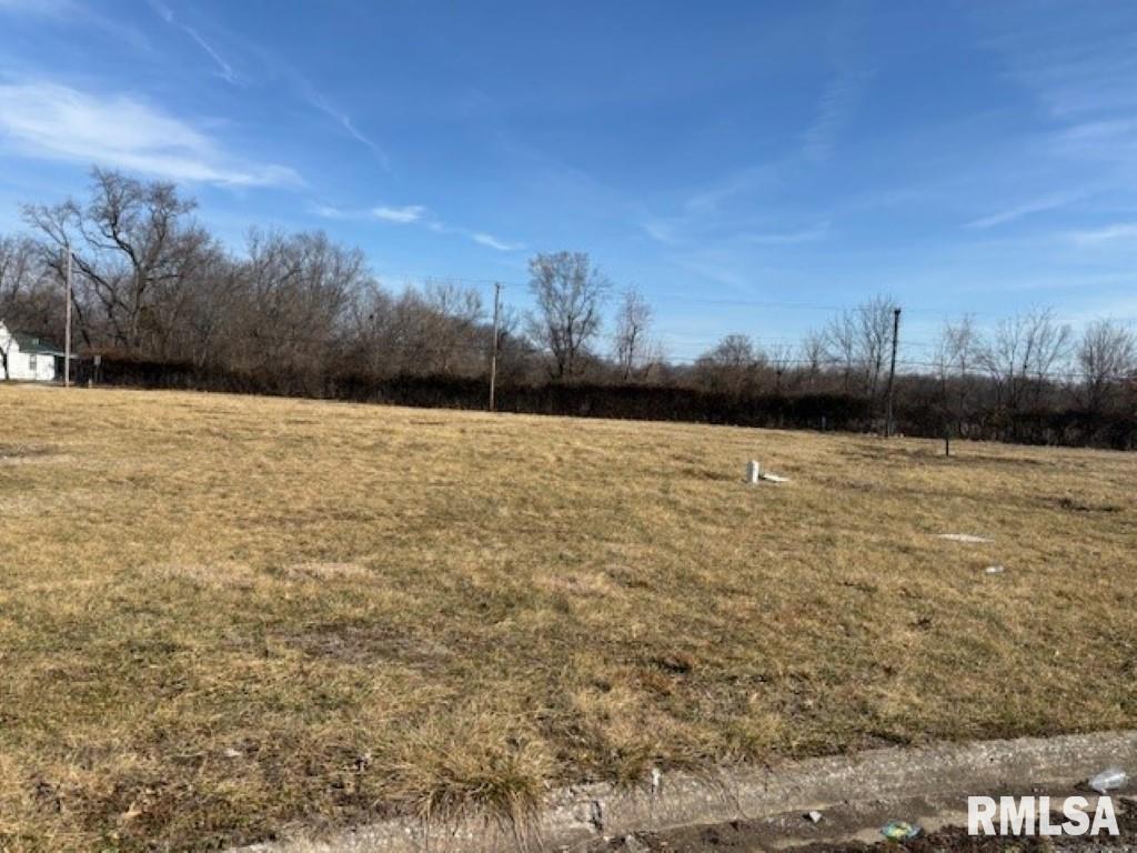915 Cleveland Street Property Photo
