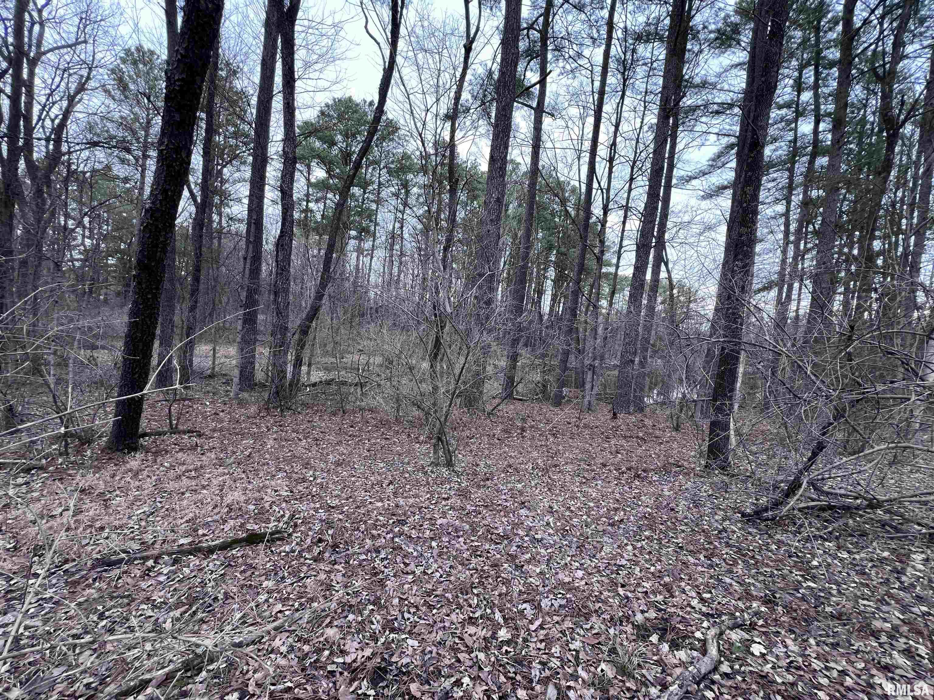 449 Pine Lane Property Photo