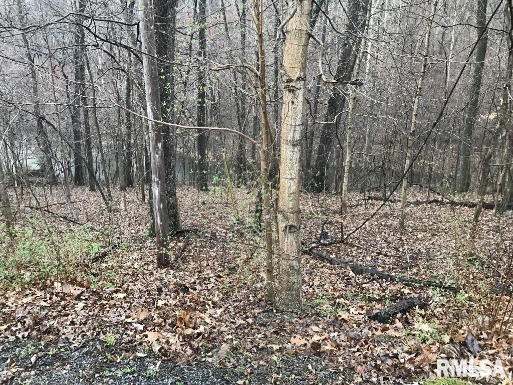 00 Deer Ridge Road Property Photo