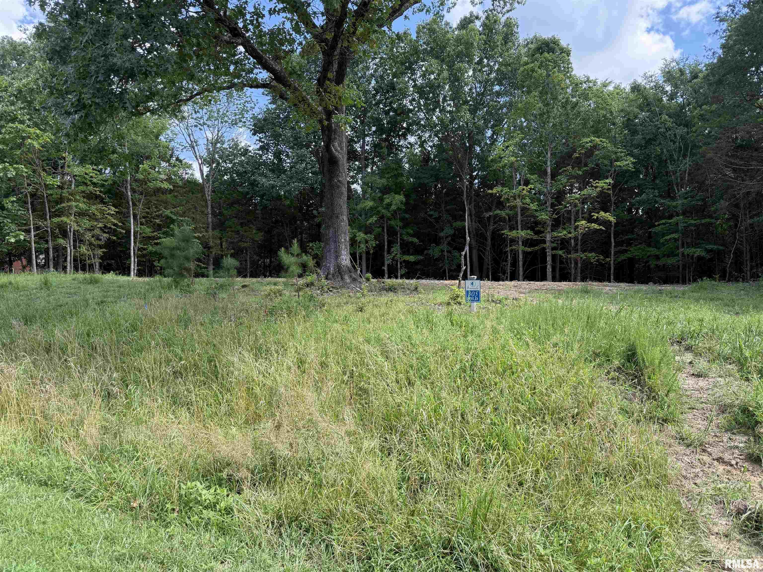 Lot 305 Pecan Point Lane Property Photo