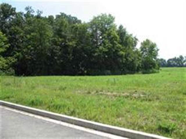 204 Amelia Drive Property Photo 1