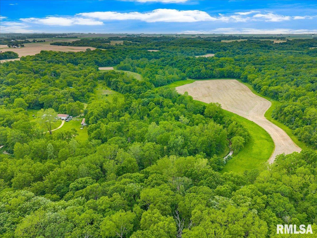 Fantasy Lane Property Photo