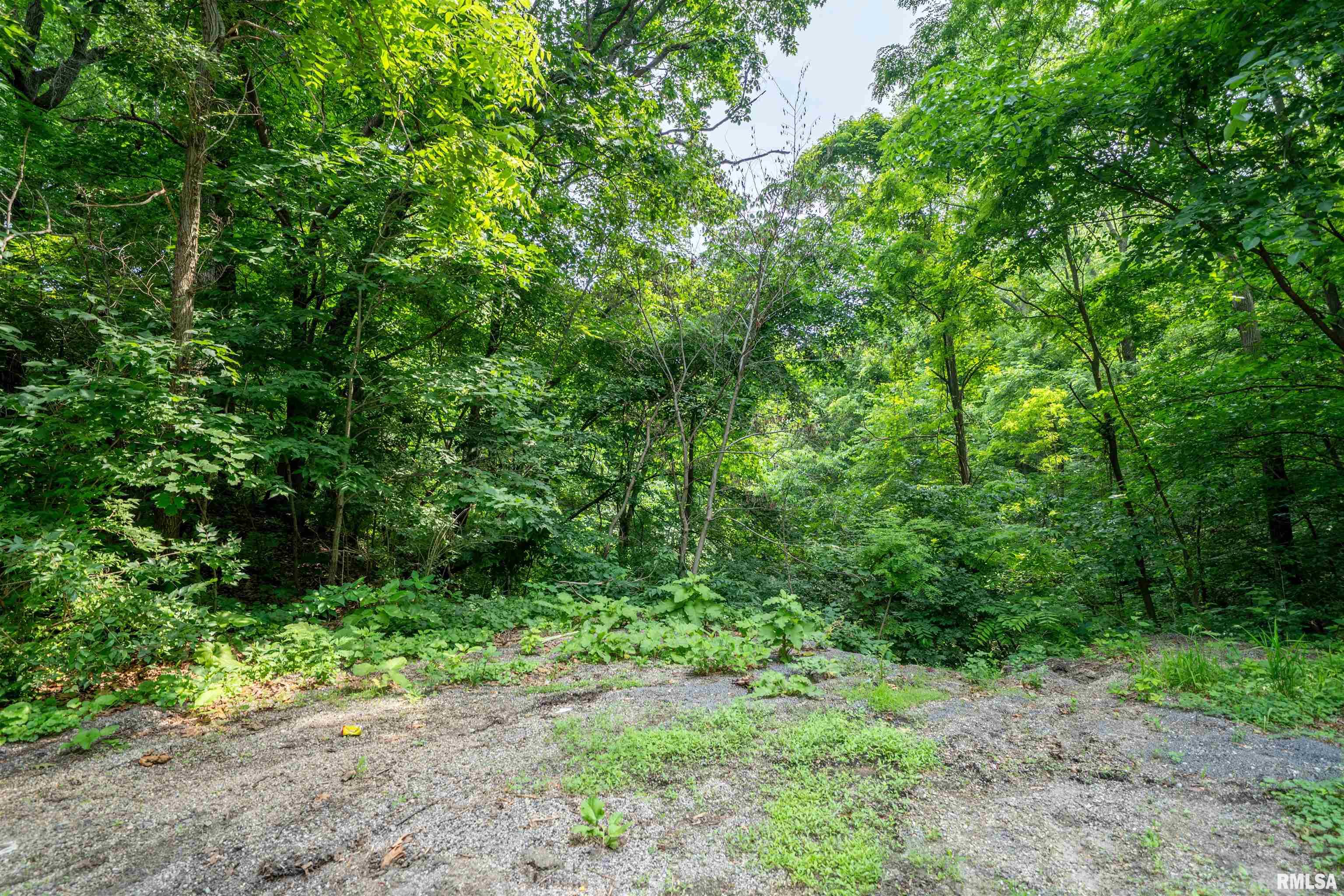 #8 W Harp Hollow Road Property Photo 1