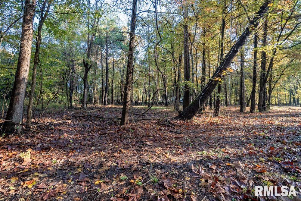 0000 Baptist Camp Road Property Photo 1