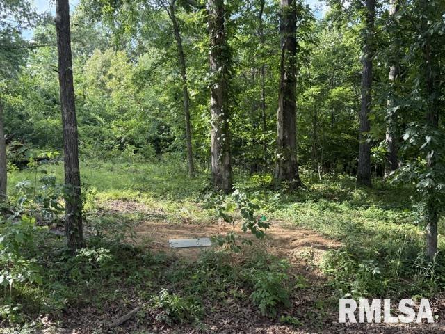 000 Wagon Creek Loop Property Photo 1