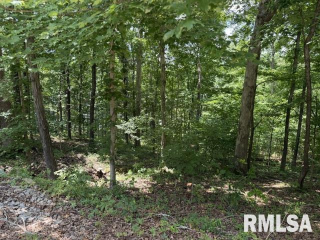 000 Wagon Creek Loop Property Photo 1