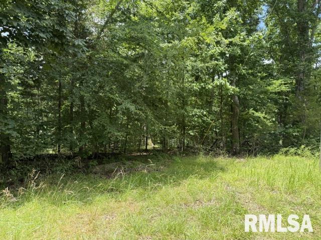 000 Wagon Creek Loop Property Photo 1