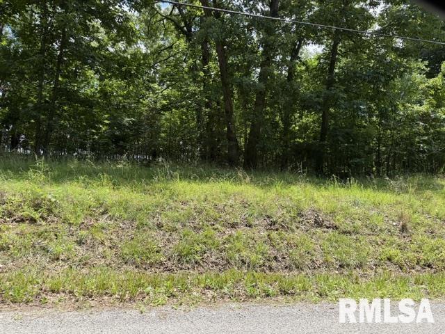 000 Wagon Creek Loop Property Photo 1