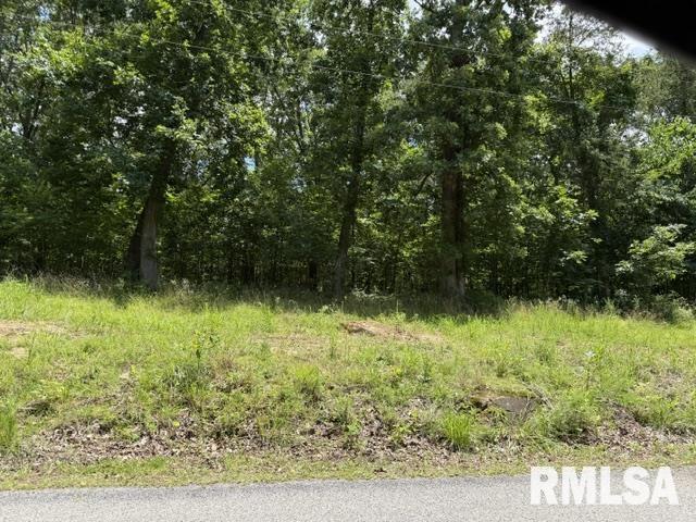 000 Wagon Creek Loop Property Photo 1