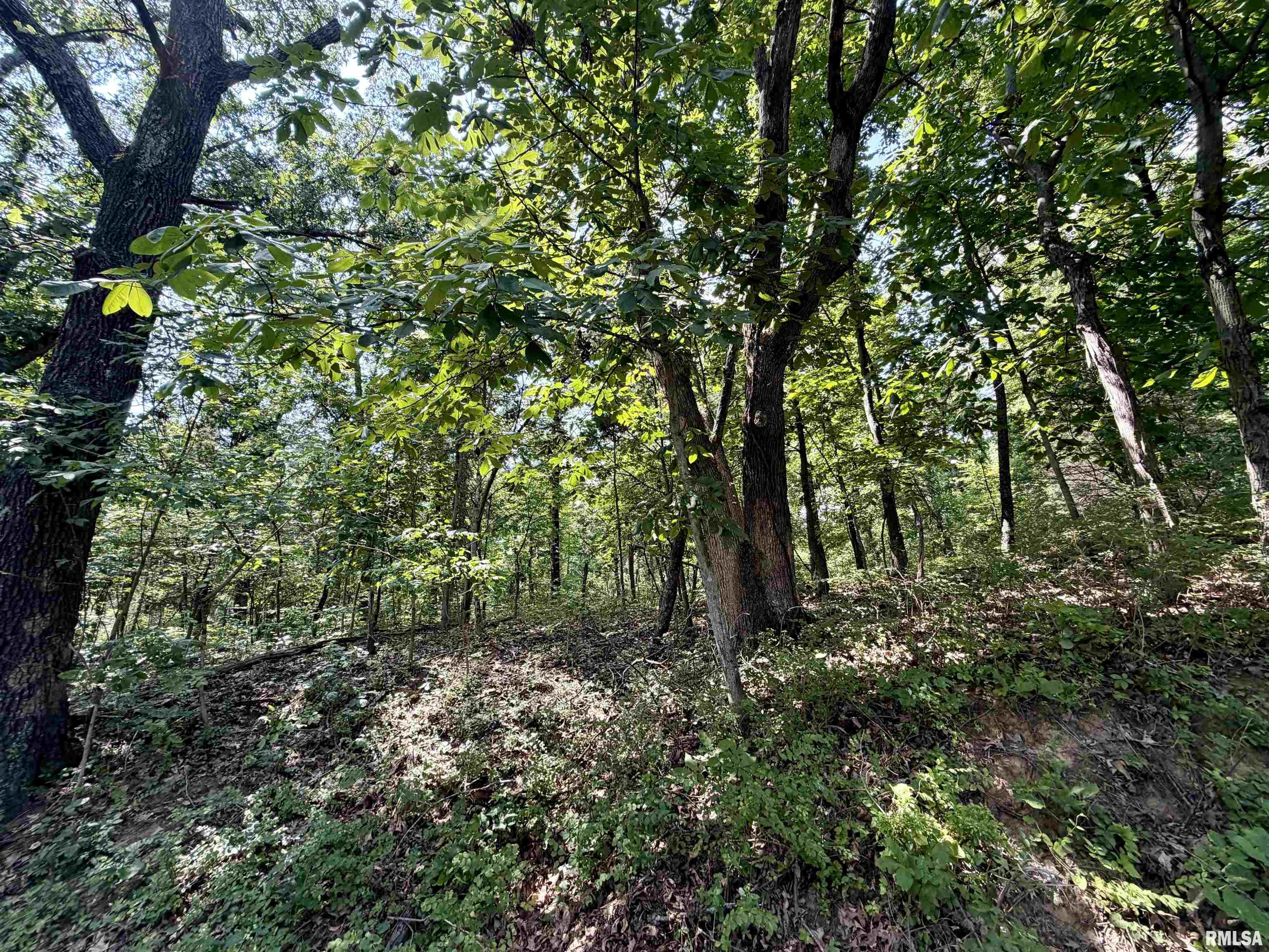 Tbd E County Road 00 E Road Property Photo 1