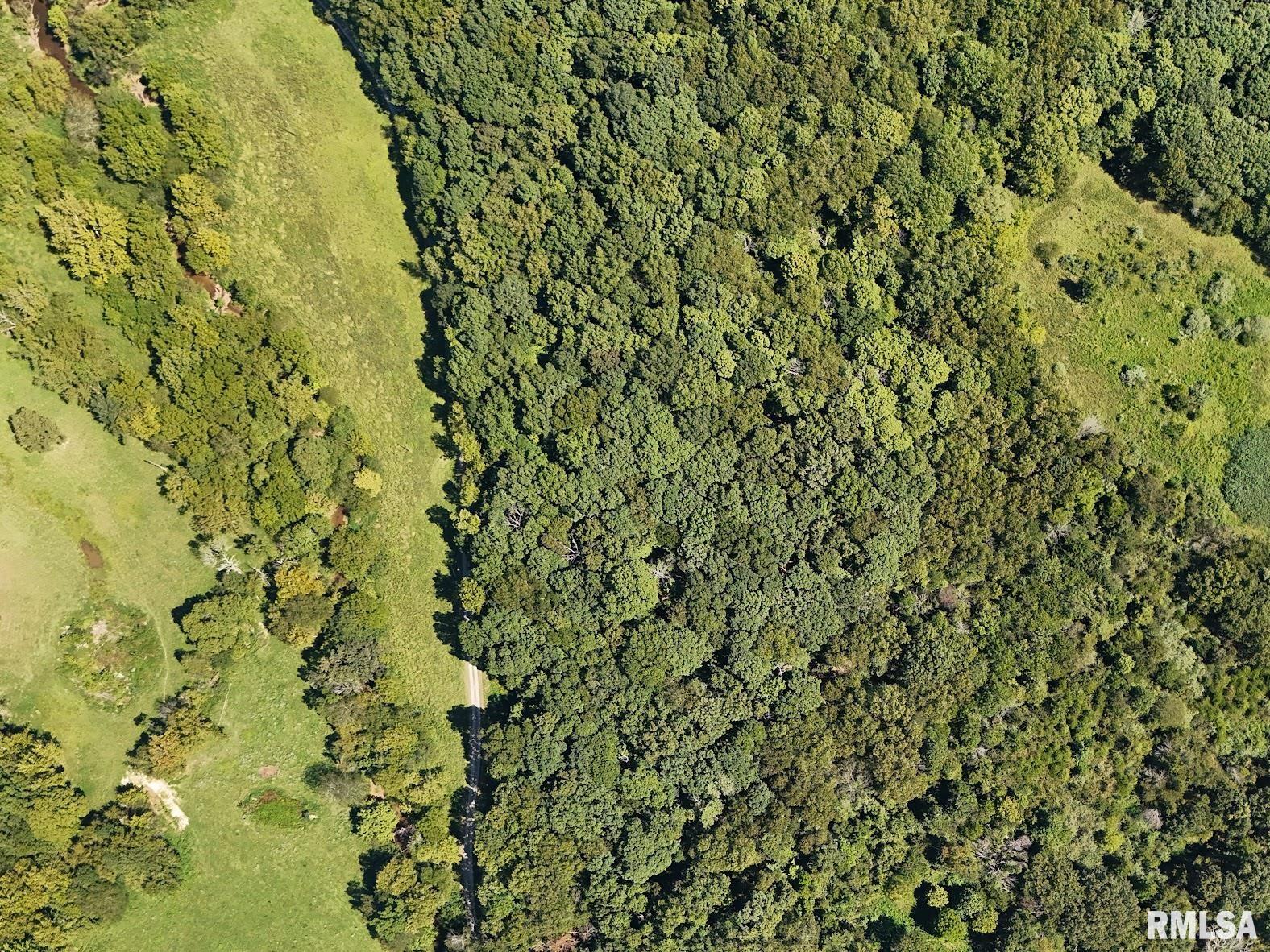 Tbd Friendship Loop Road Property Photo 1