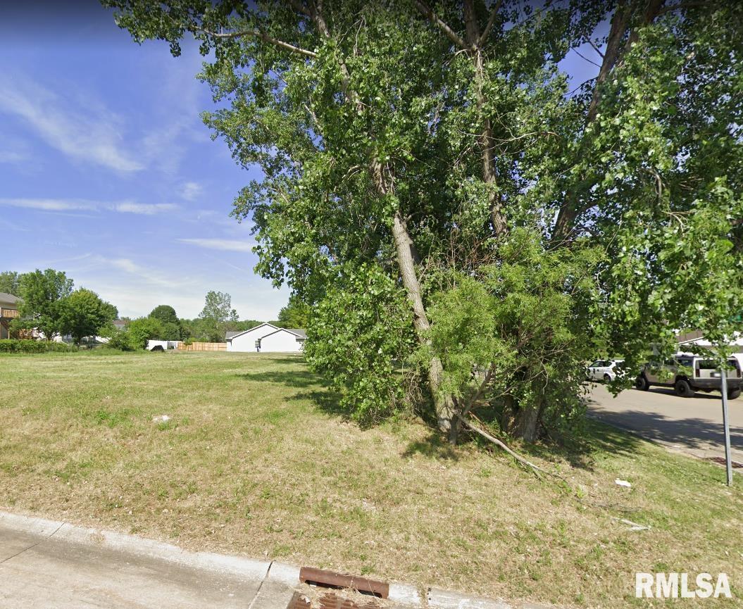 Lot 56 Franklin Avenue Property Photo 1