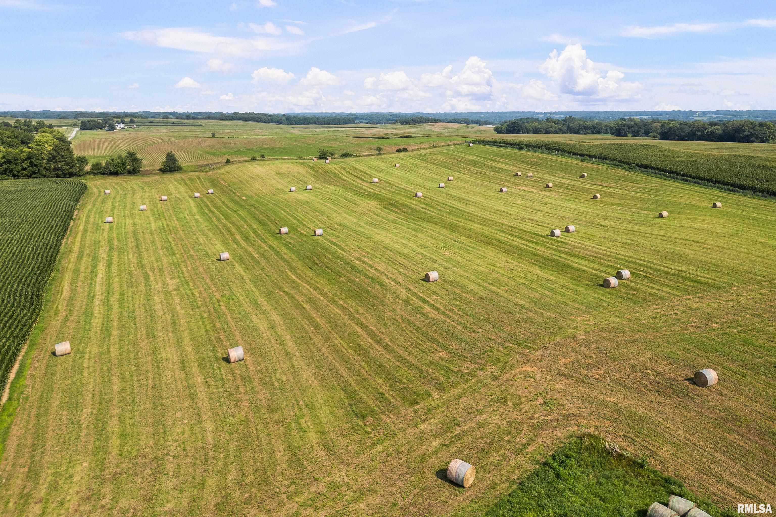 13409 W 311th Street Property Photo 32