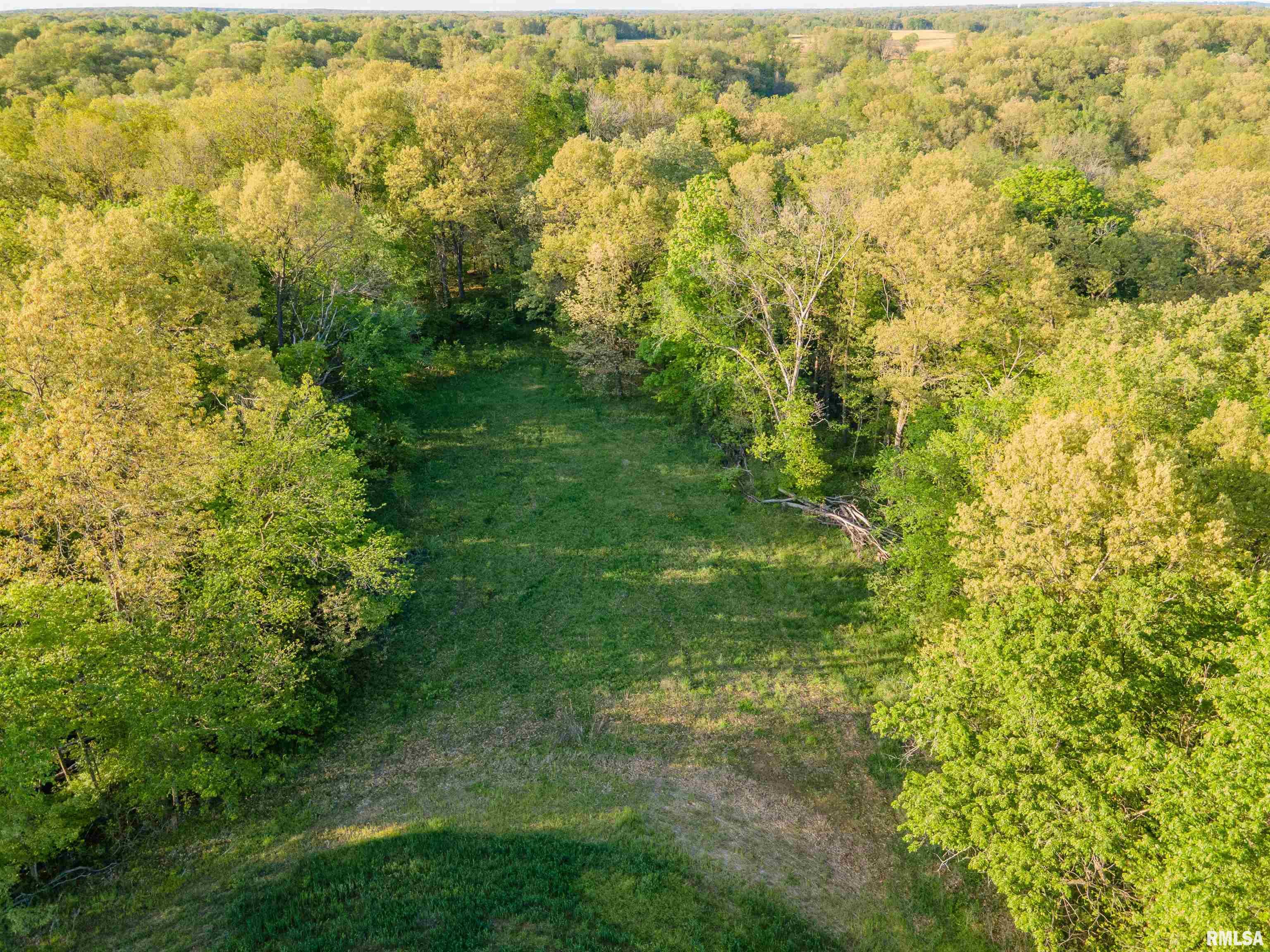 21252 N Old Miller Lane Property Photo 8