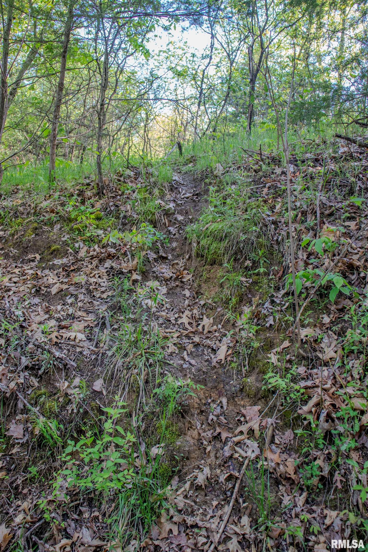 21252 N Old Miller Lane Property Photo 12