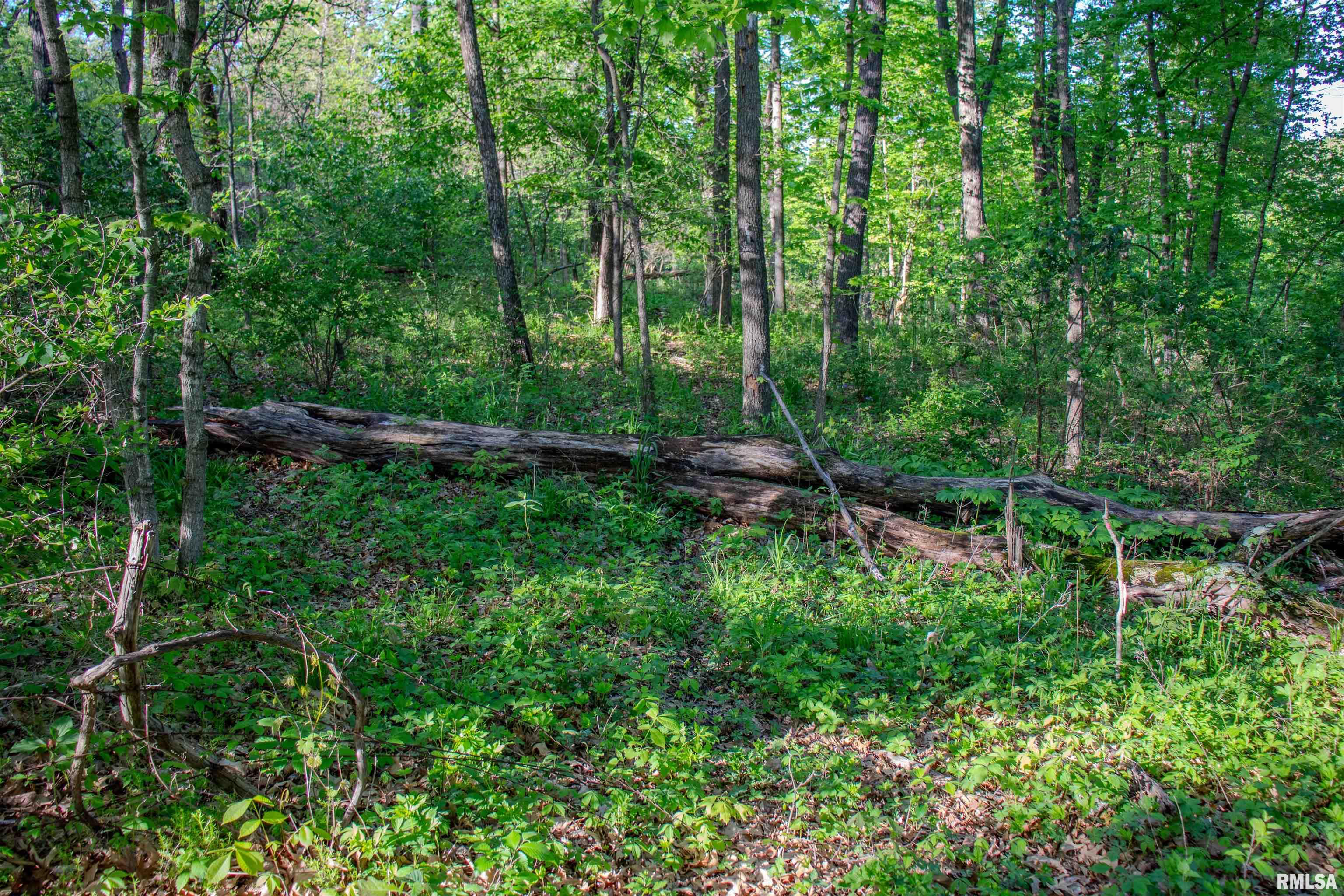 21252 N Old Miller Lane Property Photo 14