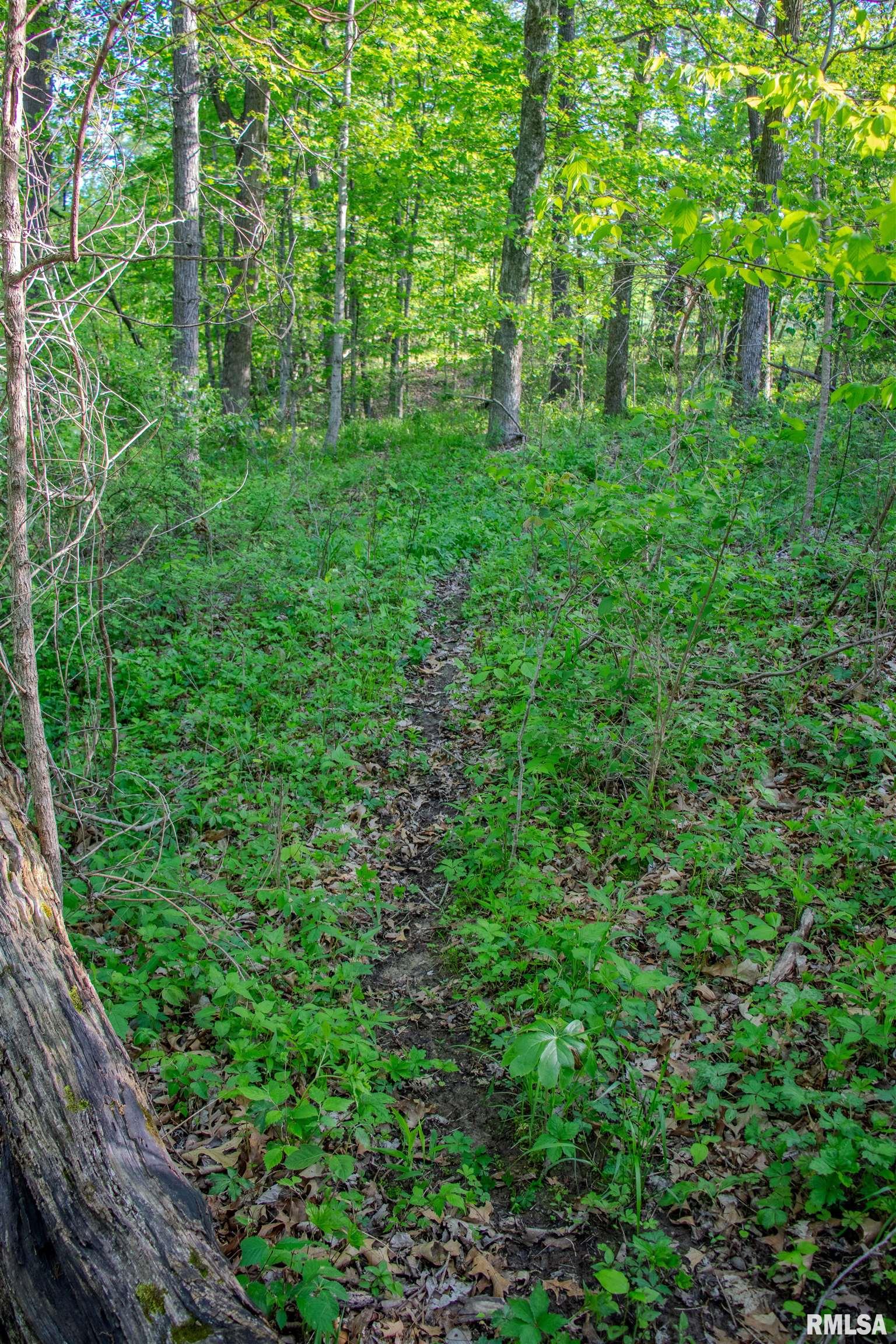 21252 N Old Miller Lane Property Photo 15